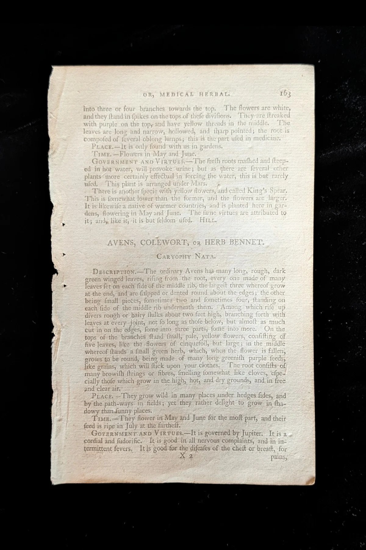 C1792_P03_FellwortAzalea_text_p163.jpg