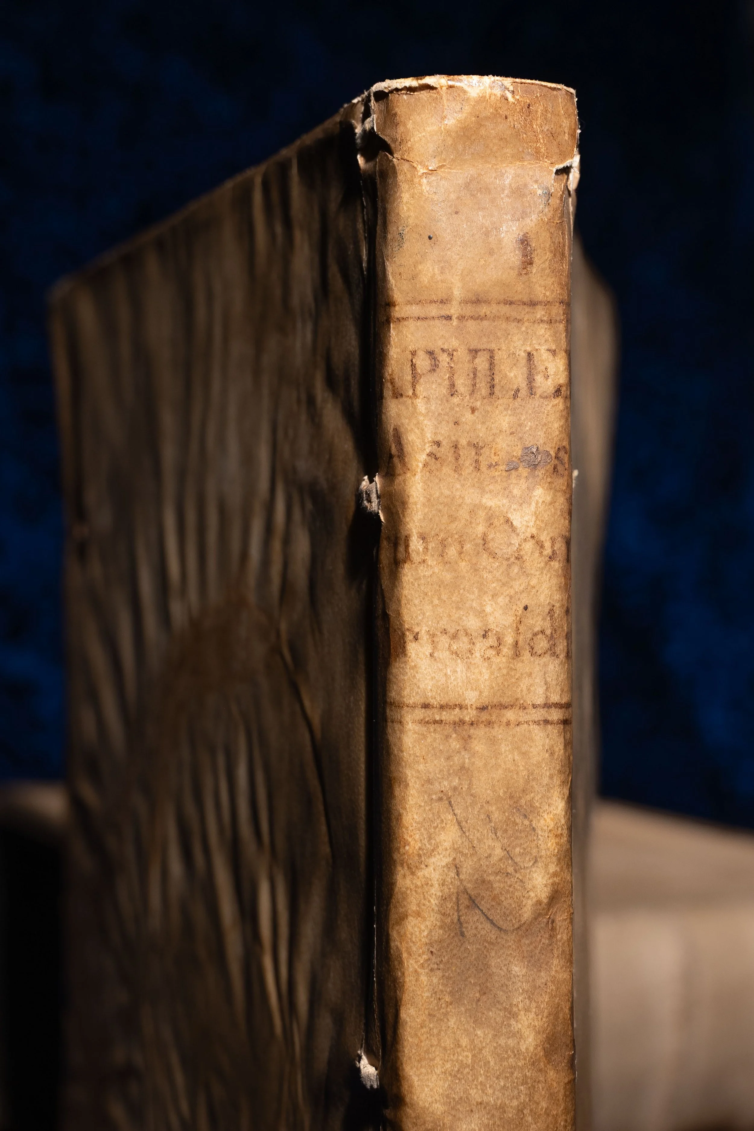 1512 - Apuleius' The Golden Ass With Provenance and Marginalia