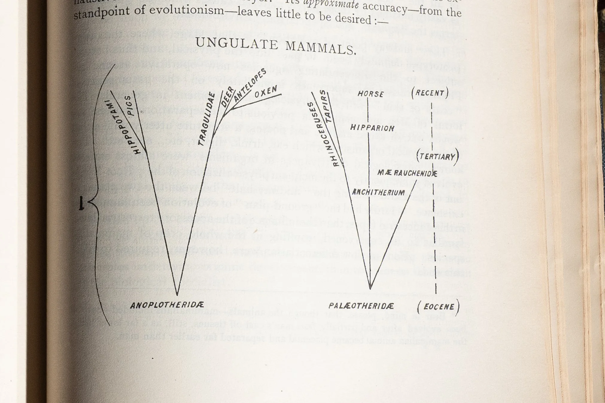 Secret Doctrine-1888 (8).jpg