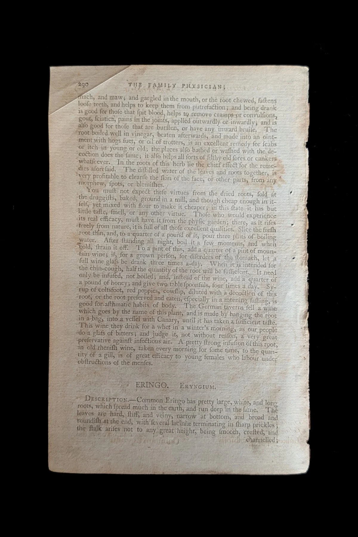 C1792_P13_EryngoScabious_text_p290.jpg
