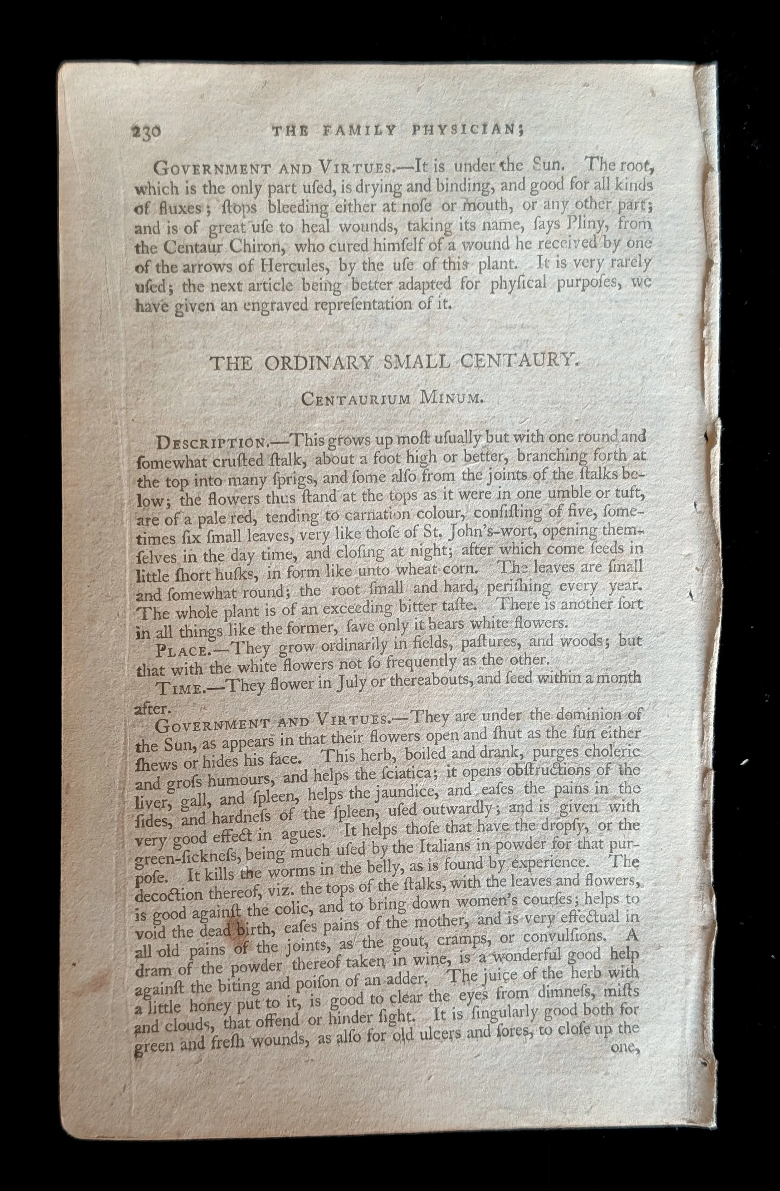 09_PAIR_Centaury_text.jpg