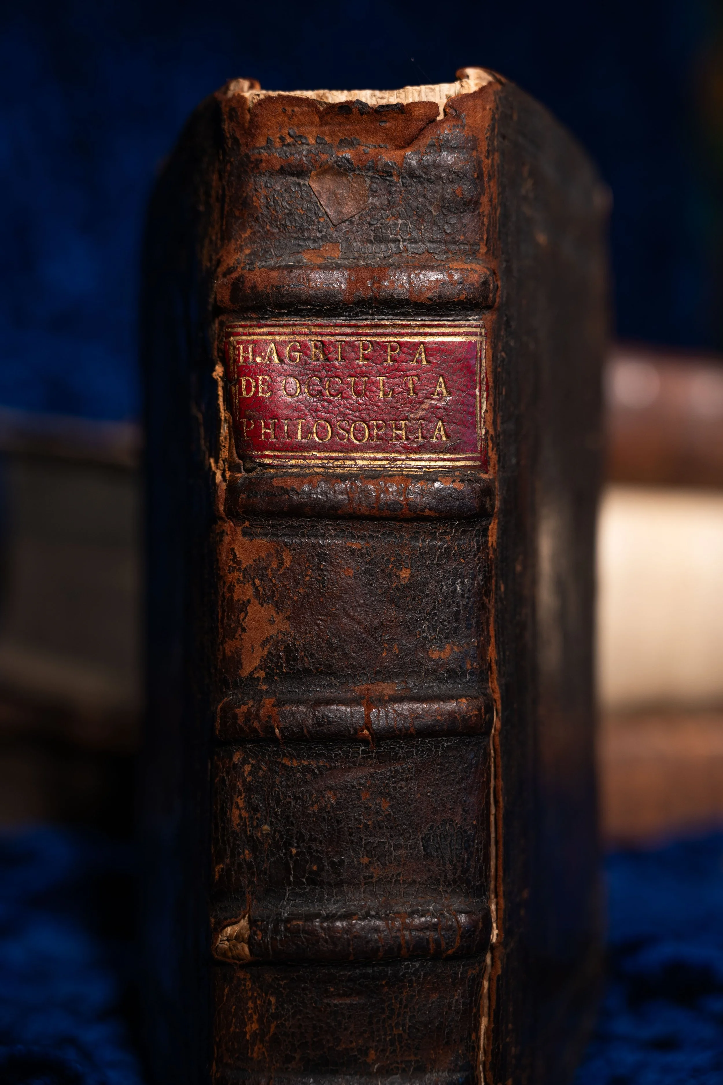 1550[*] - Agrippa's Three Books of Occult Philosophy