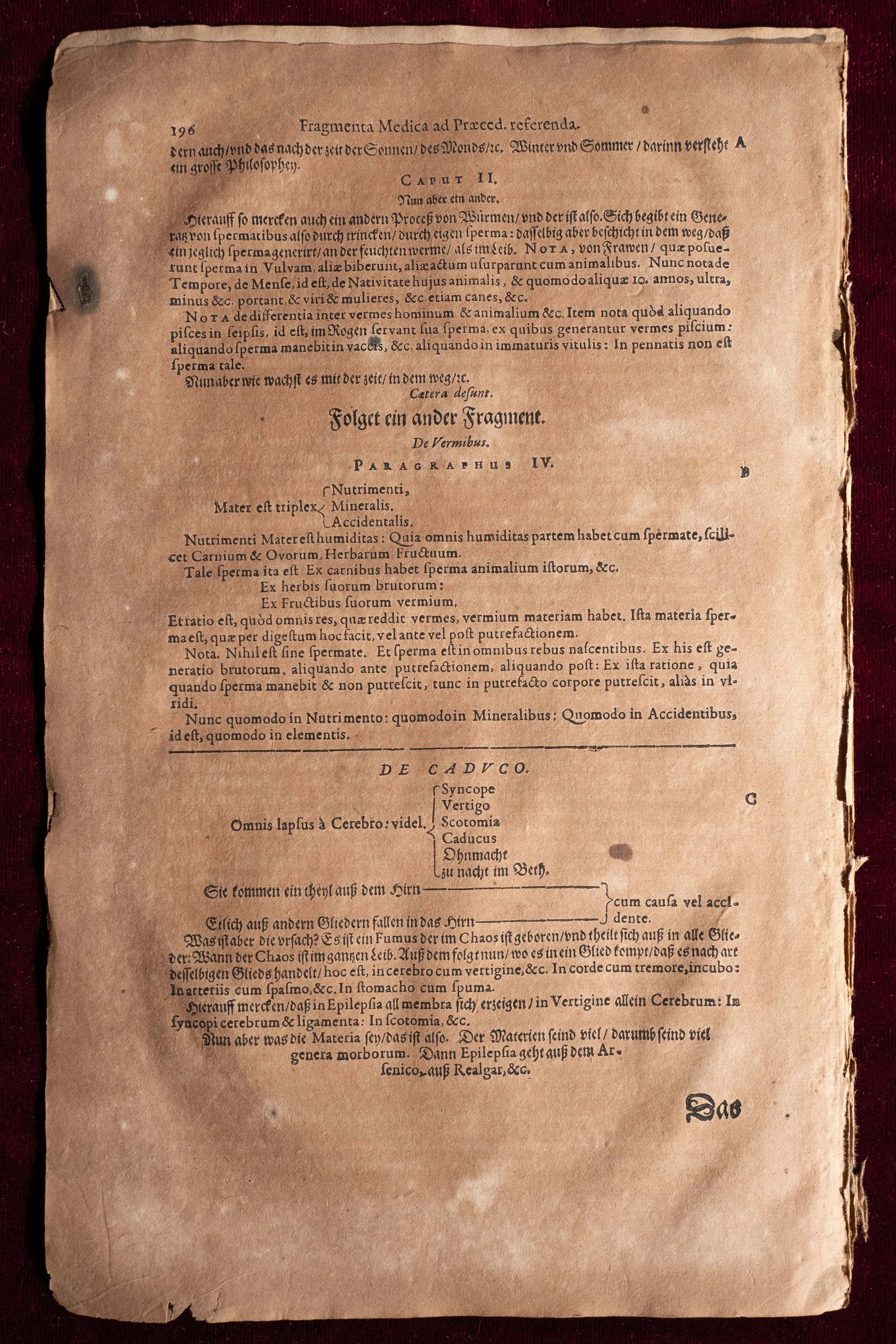 Agrippae Pages $20 (6).jpg
