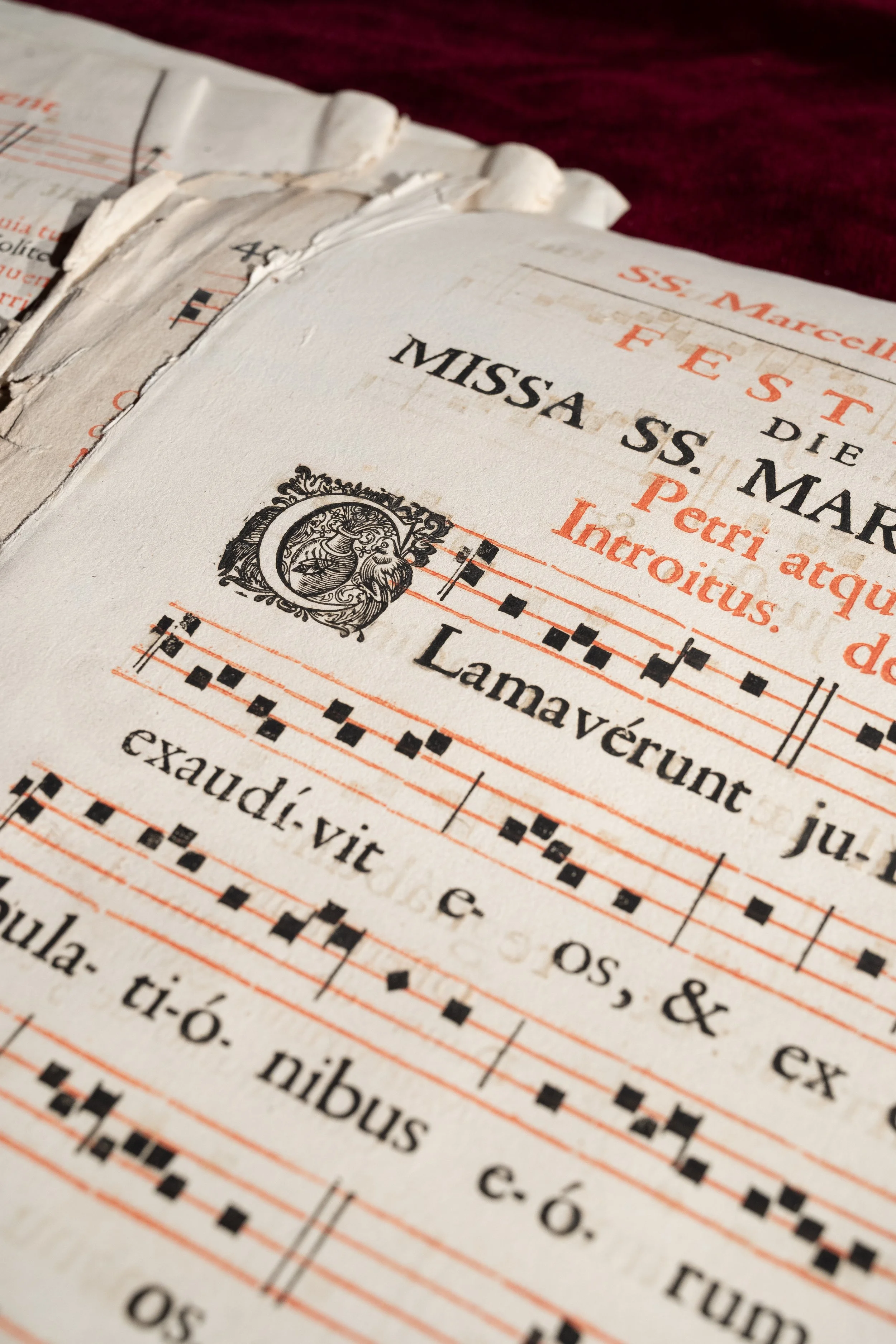 c. 1700 – Printed Gregorian Chant for Saint Benedict: A Choirbook Leaf from a Flood-Broken Antiphonary [BLACK AND RED PRINT]