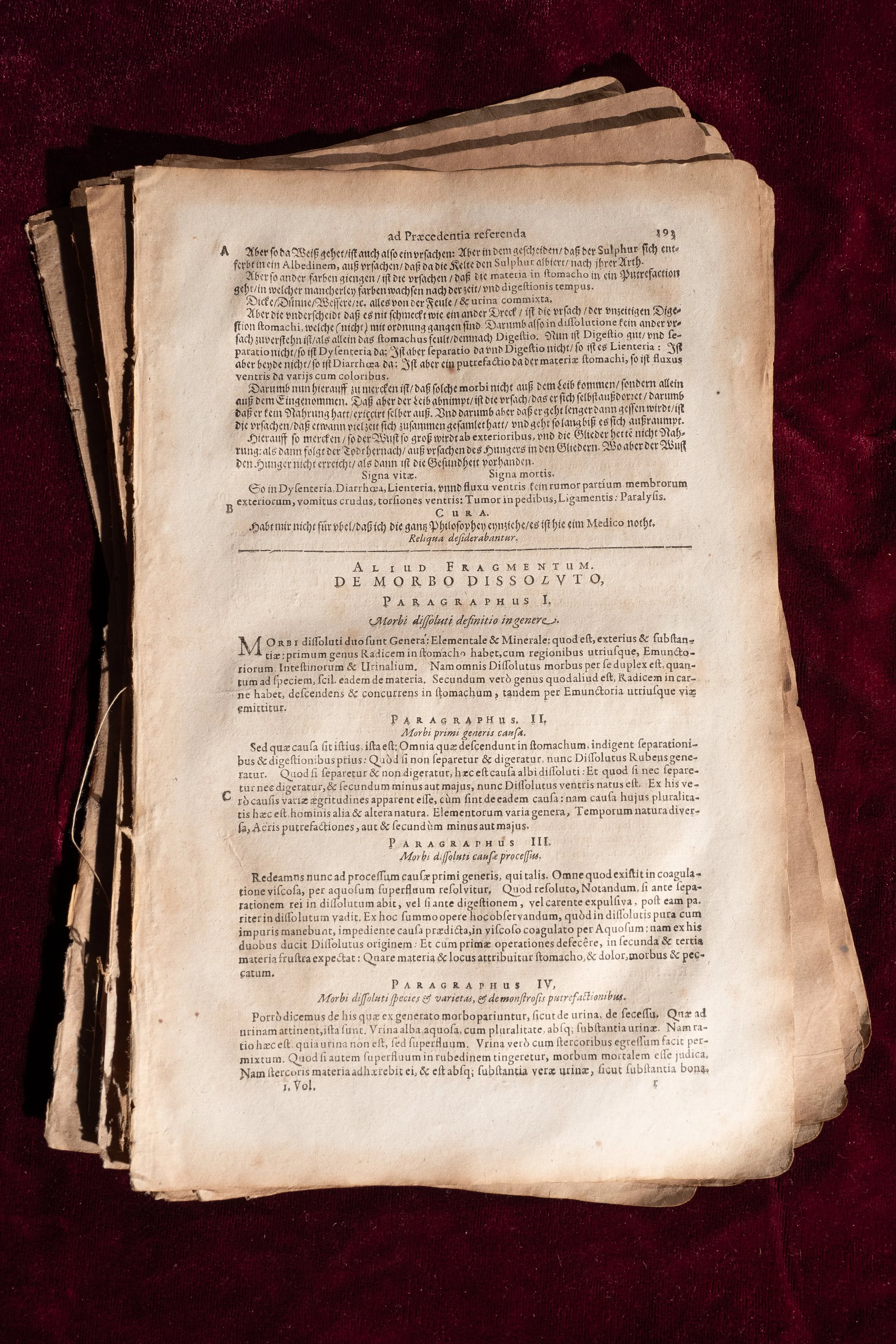 Agrippae Pages $20 (4).jpg