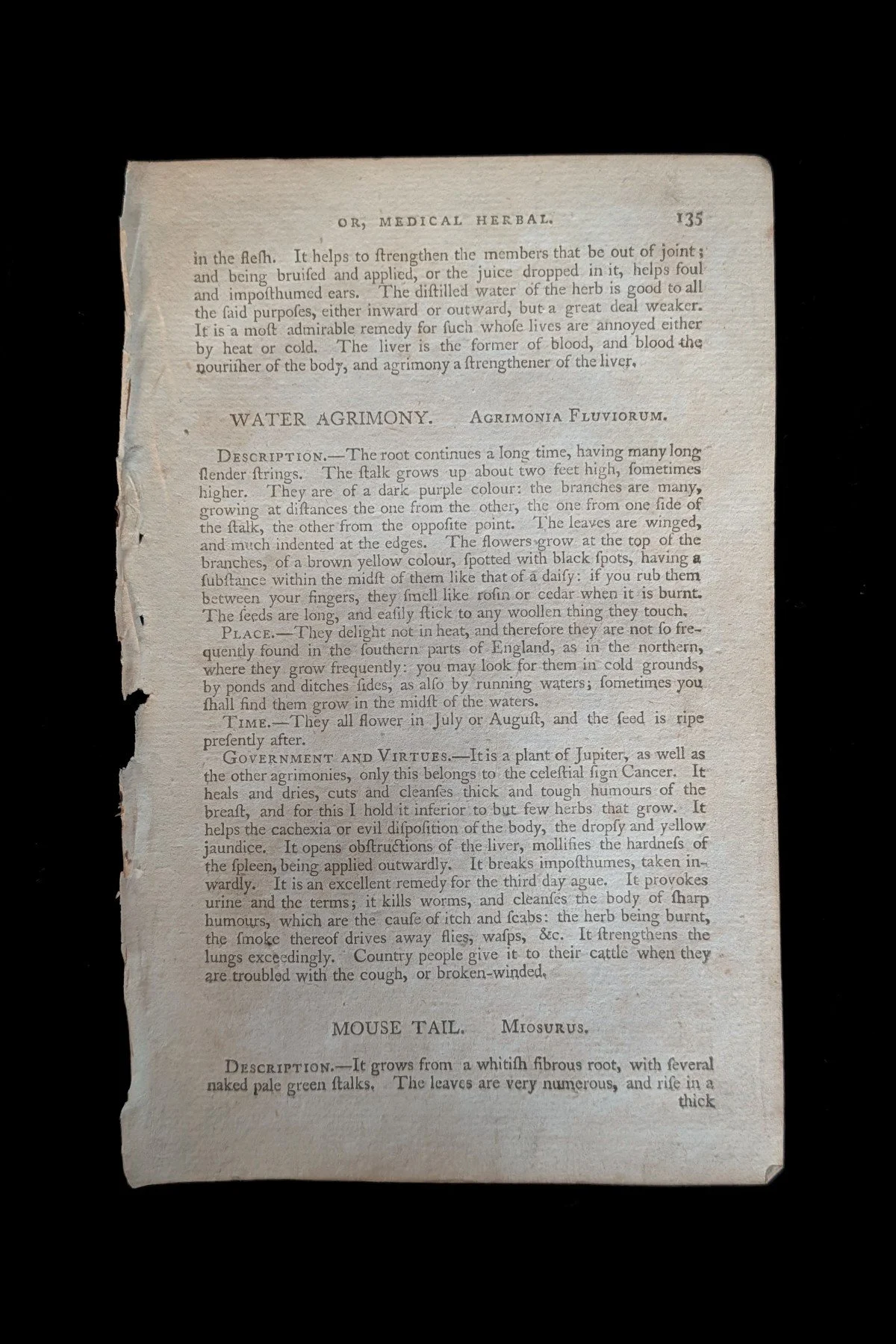C1792_P02_AgrimonyAvensMousetail_text_p135.jpg