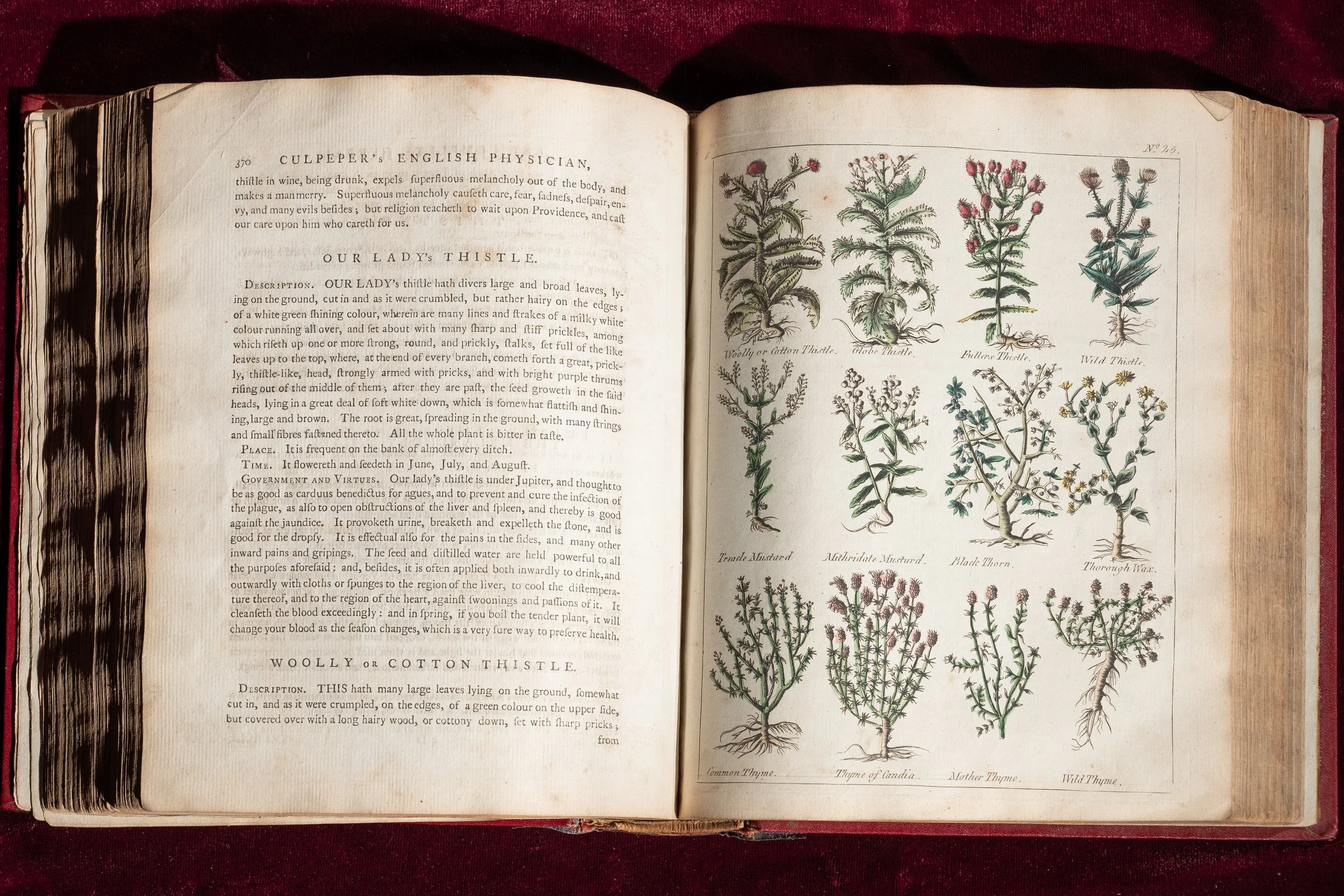 Culpeper-1653 (7).jpg