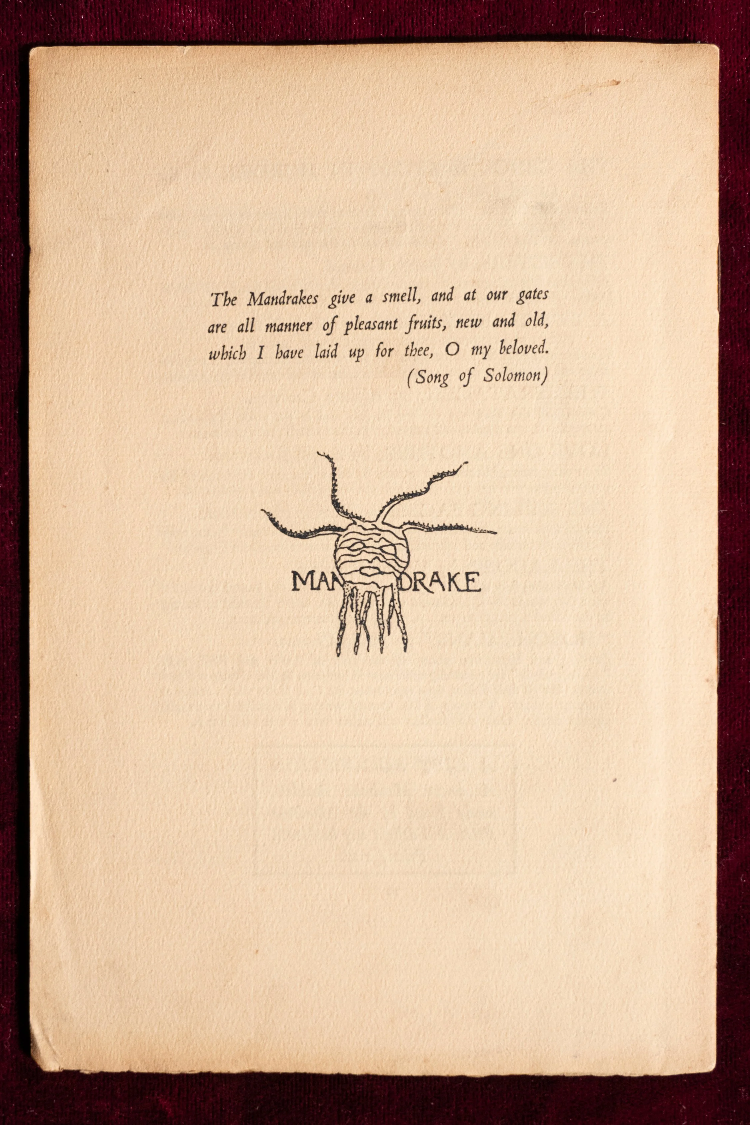 Crowley's Confessions-1929 (7).jpg