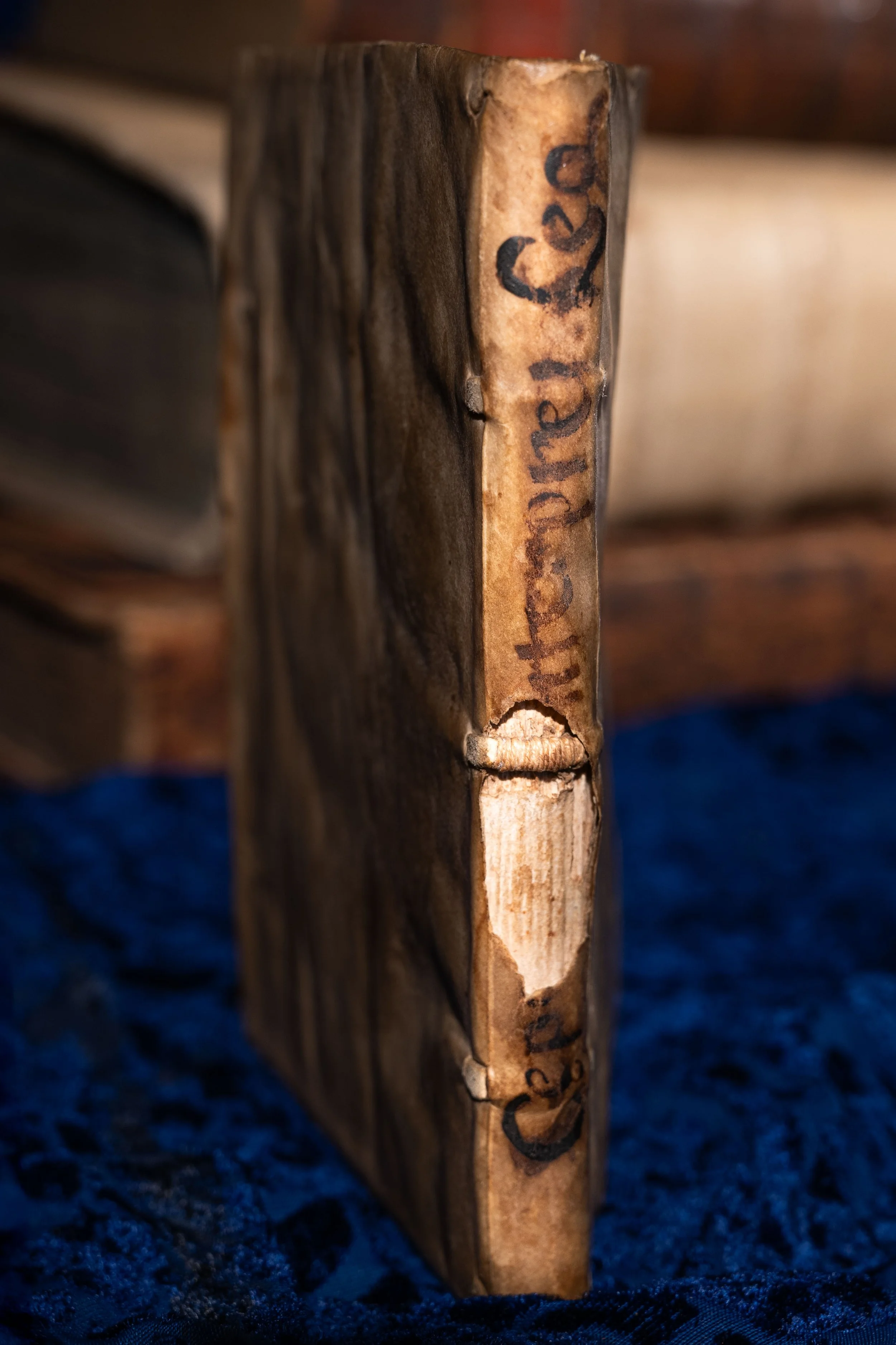 1557 - The Word That Reshapes Reality: Cipolla on Legal Interpretation and the Power of Fictive Language