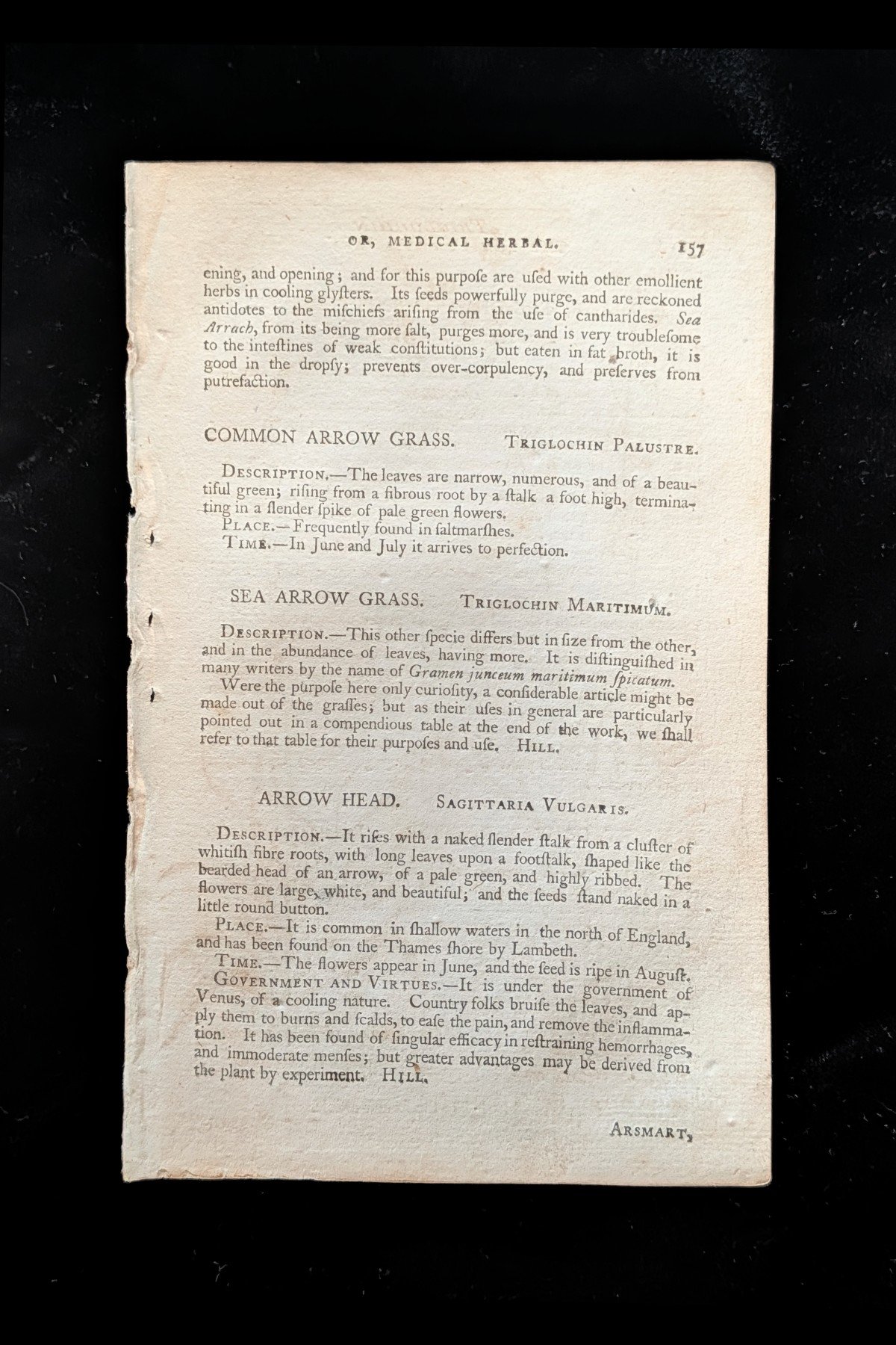 C1792_P11_ArrowGrasses_text_p157.jpg