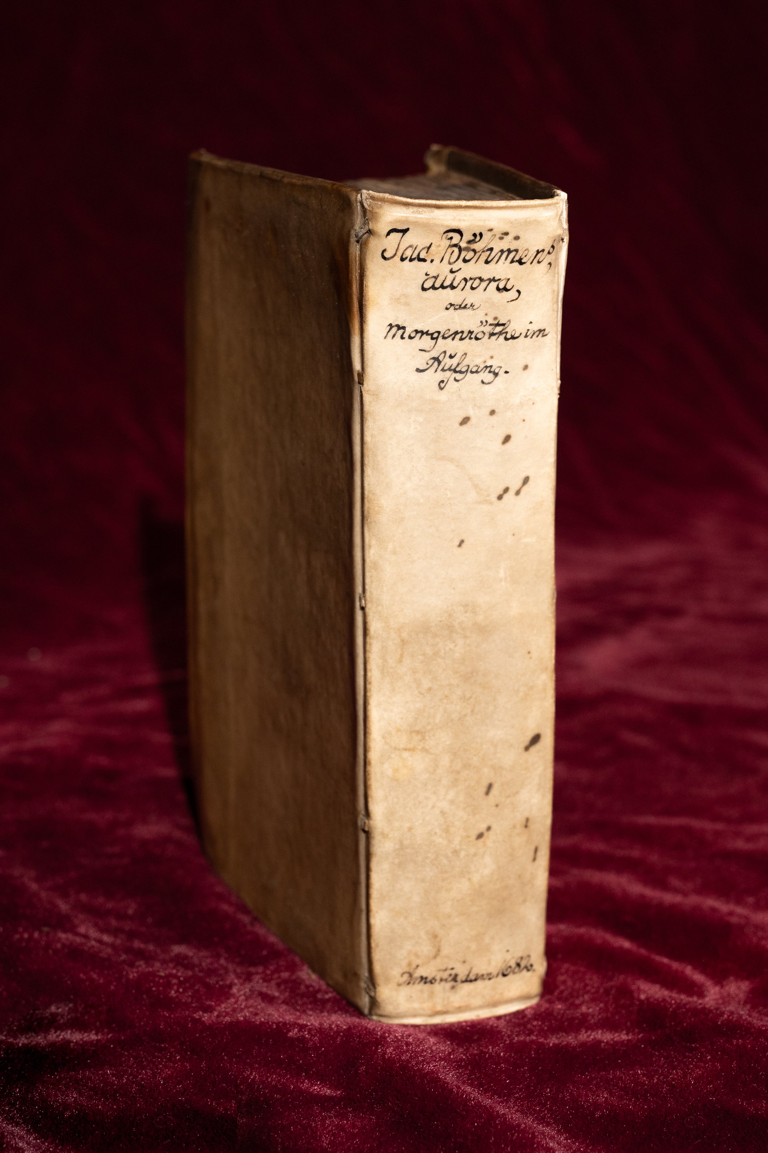 Aurora-1682 (12).jpg