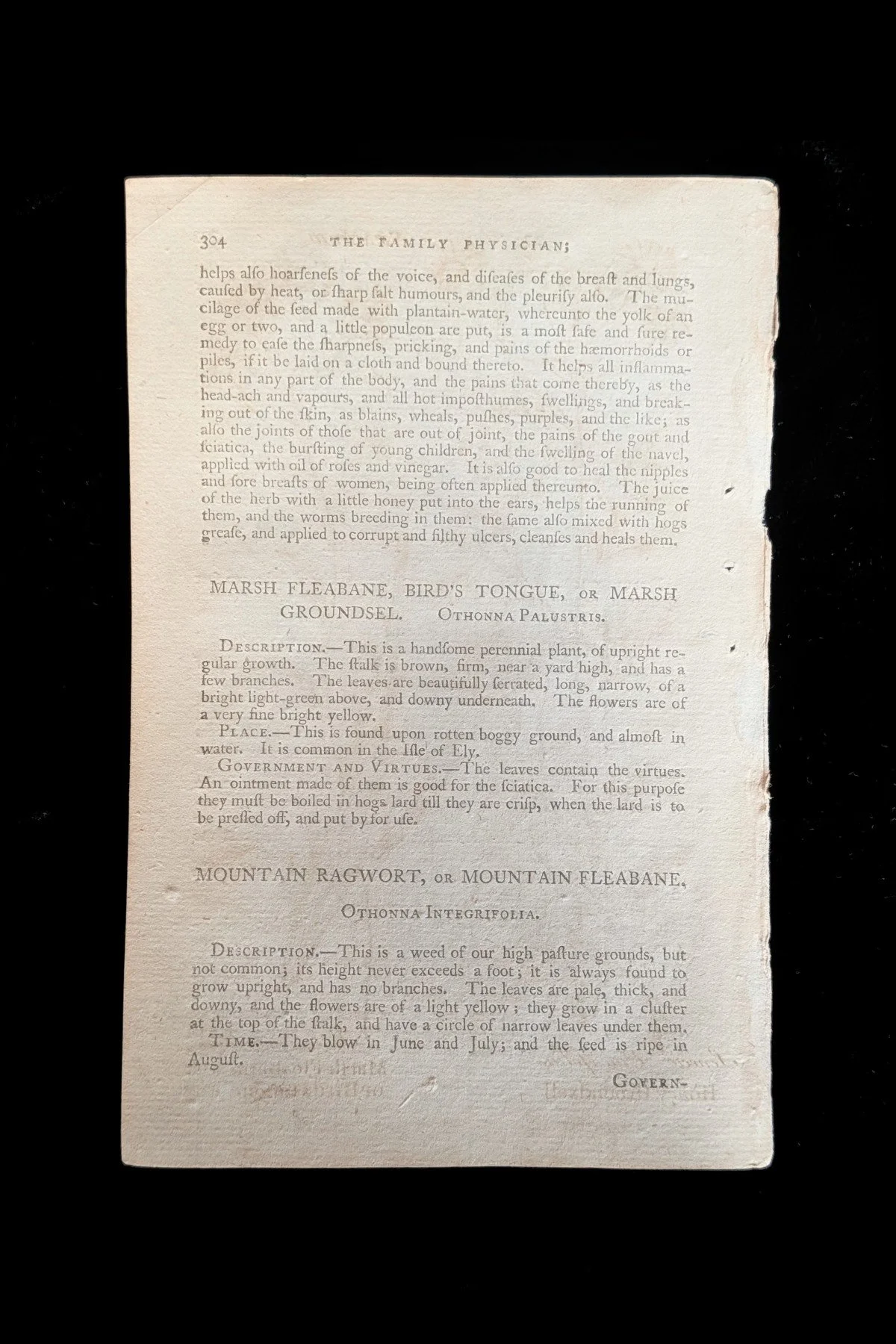 C1792_P06_MountainRagwortMarshFleabane_text_p304.jpg