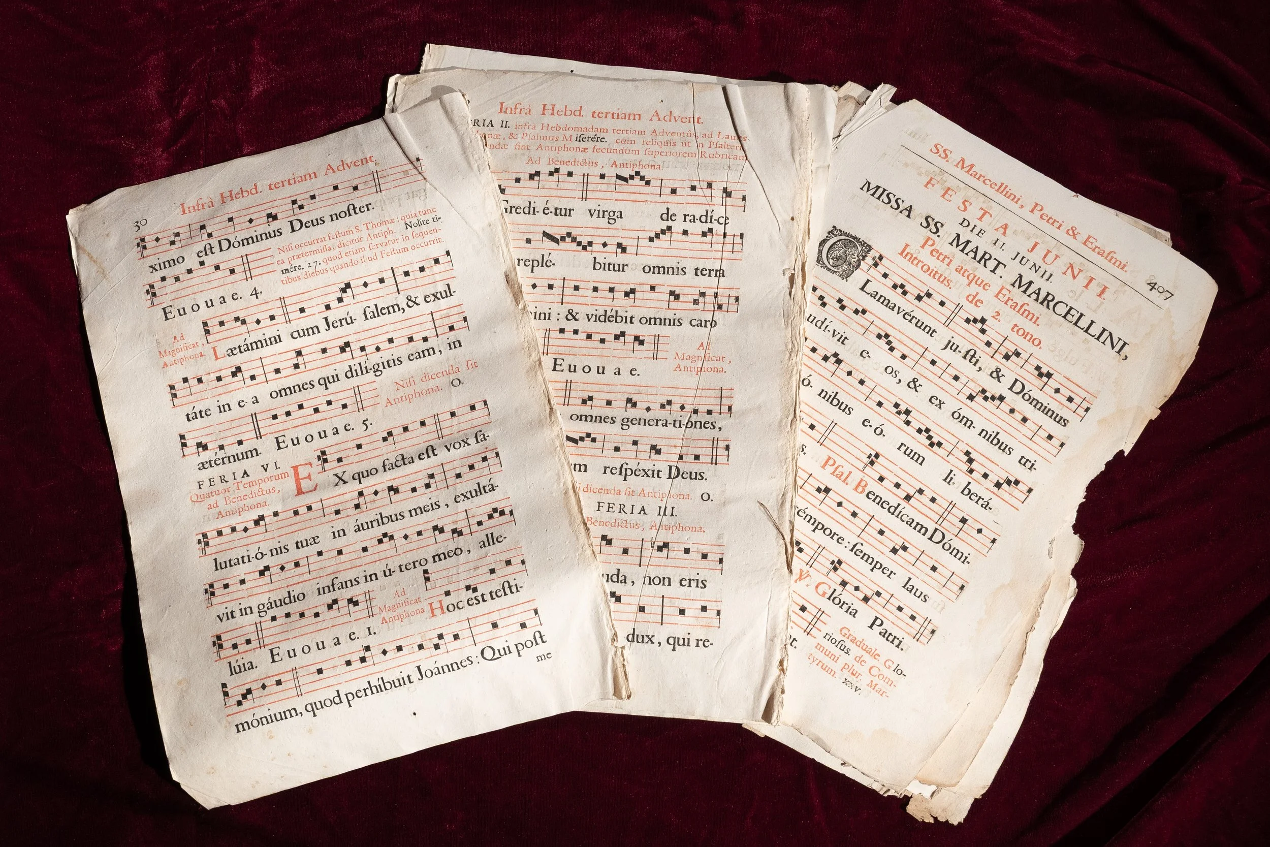 Music Sheets Red (2).jpg