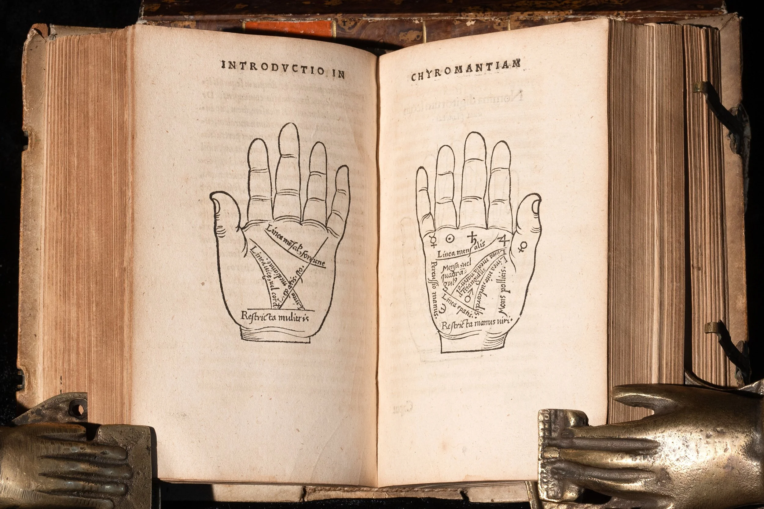 1658 Agrippae with Clasps (21).jpg