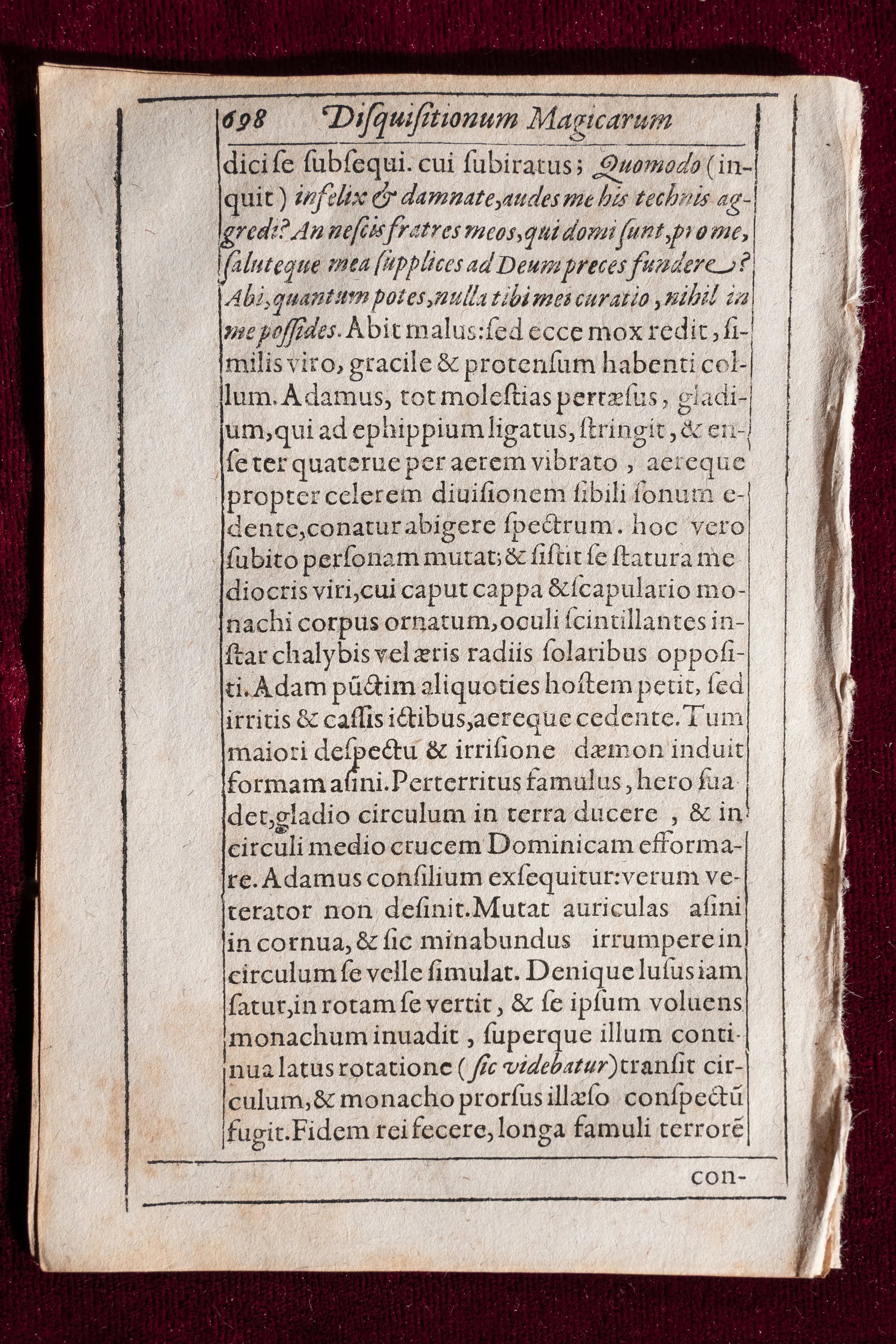 Del Rio Pages (5).jpg