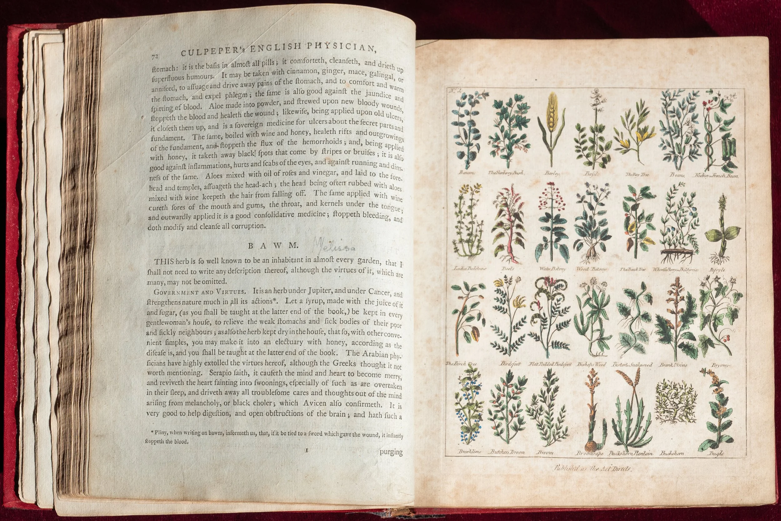 Culpeper-1653 (2).jpg