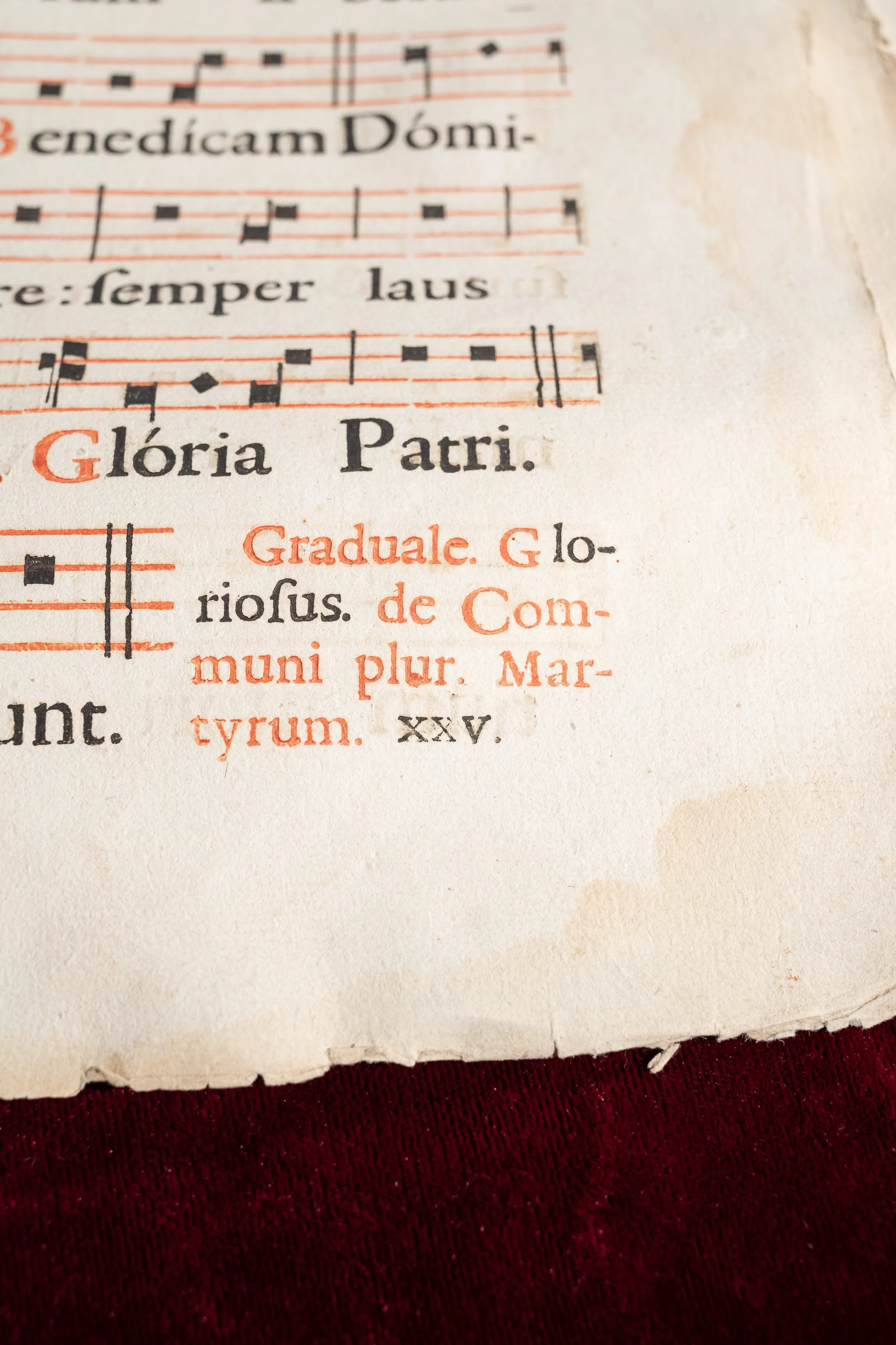 Music Sheets Red (4).jpg