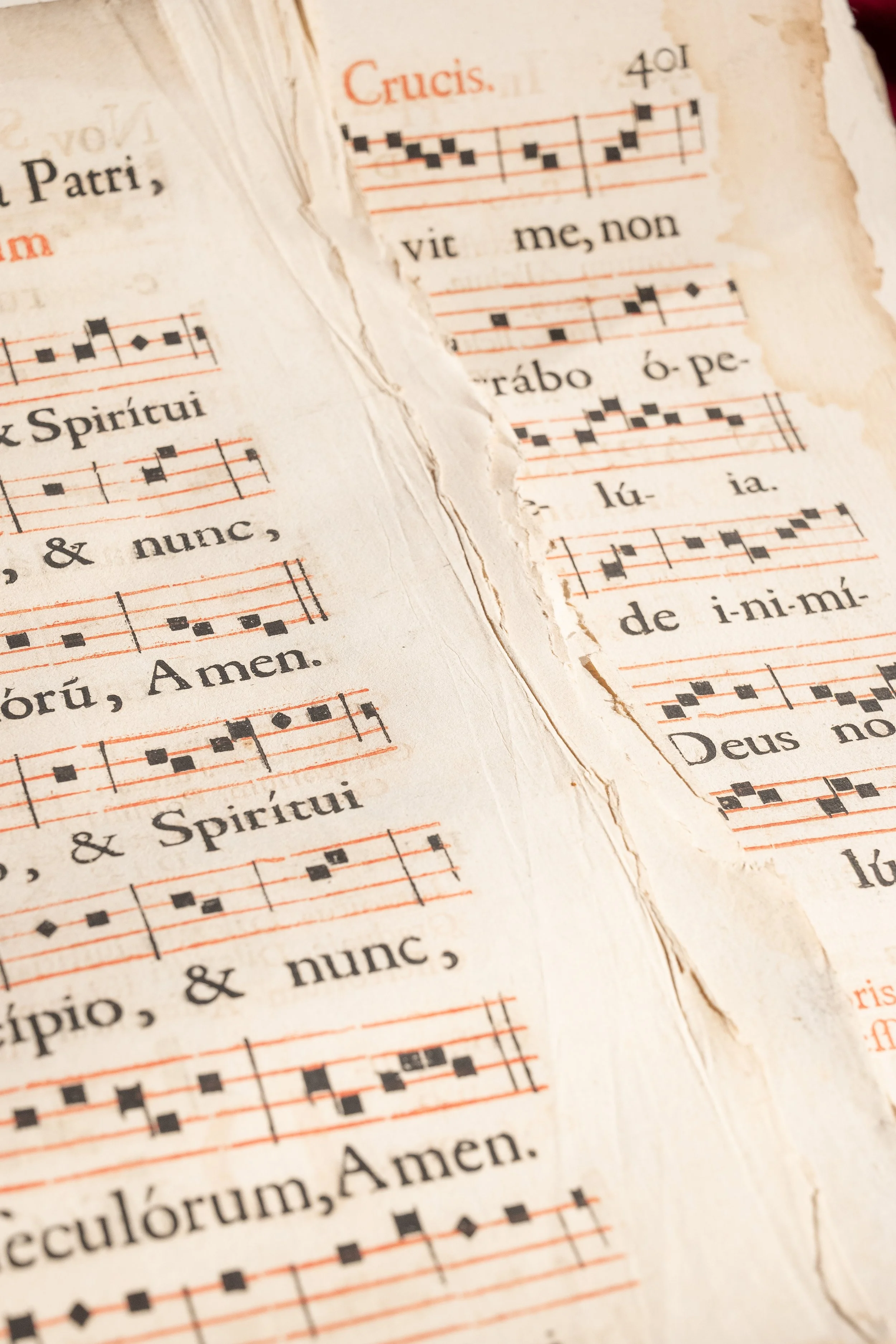Music Sheets Red (9).jpg