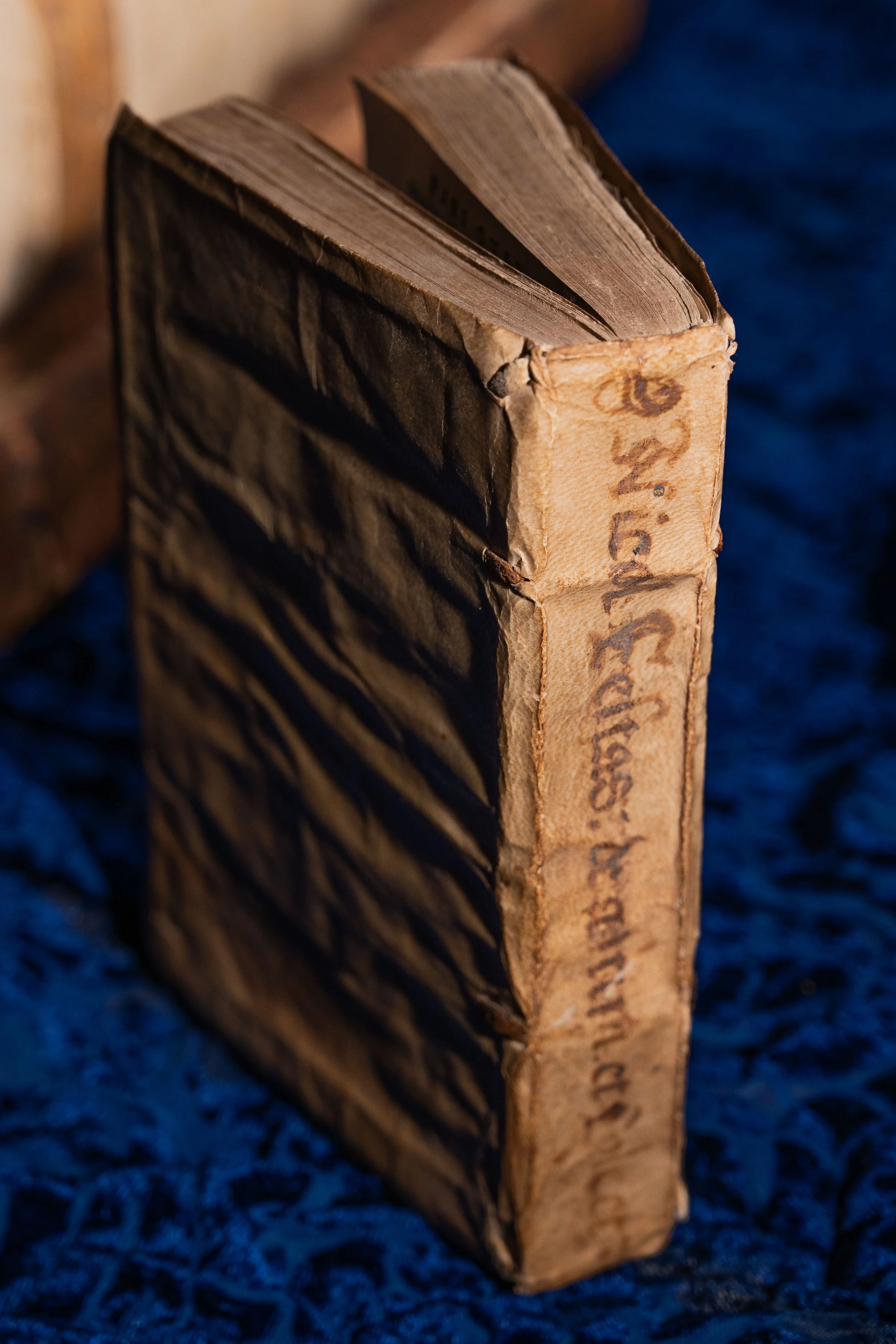 1569 - Festina Lente: A Renaissance Jurist's Working Copy on Valuation and Taxation, with Contemporary Manuscript Notes