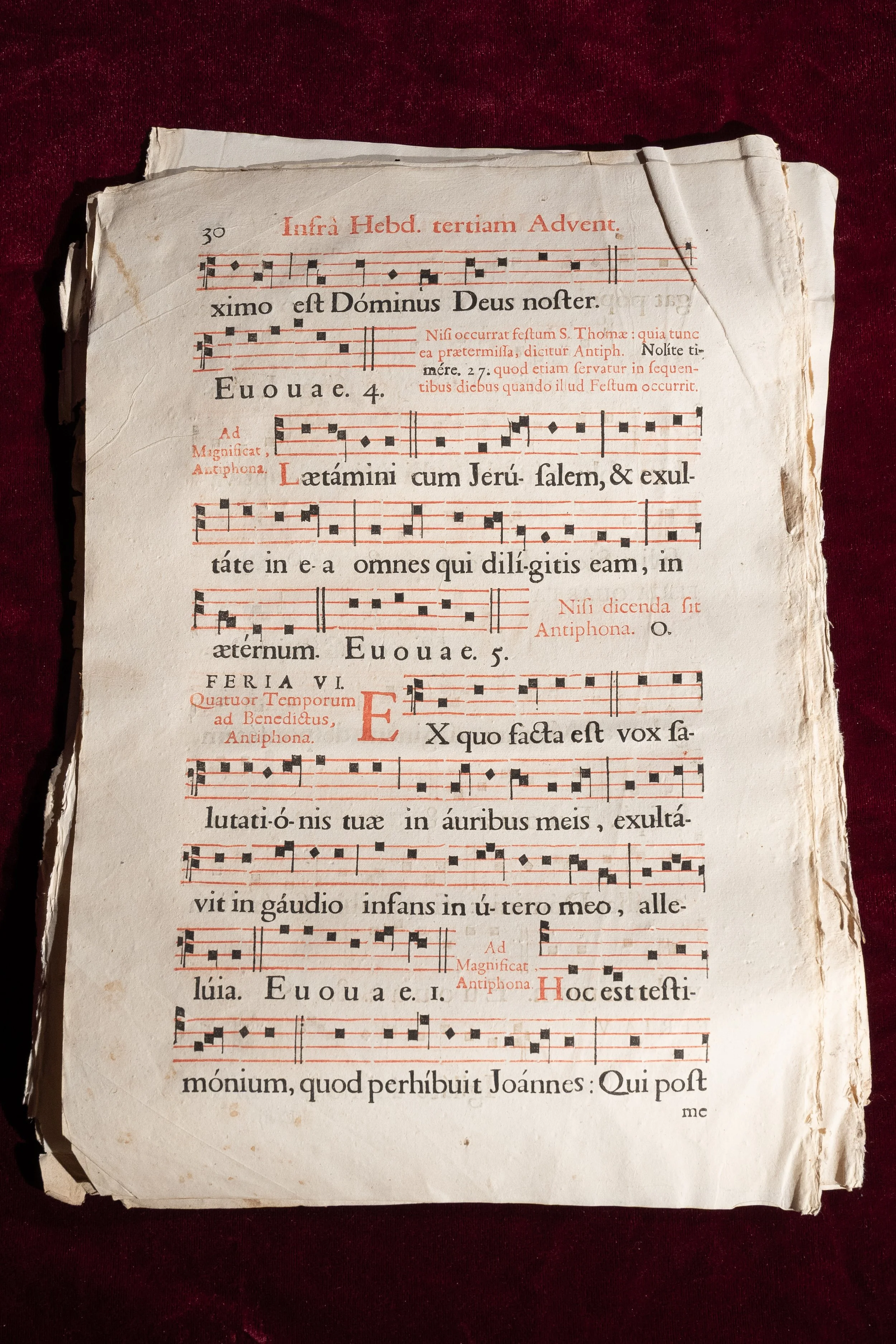 Music Sheets Red (1).jpg