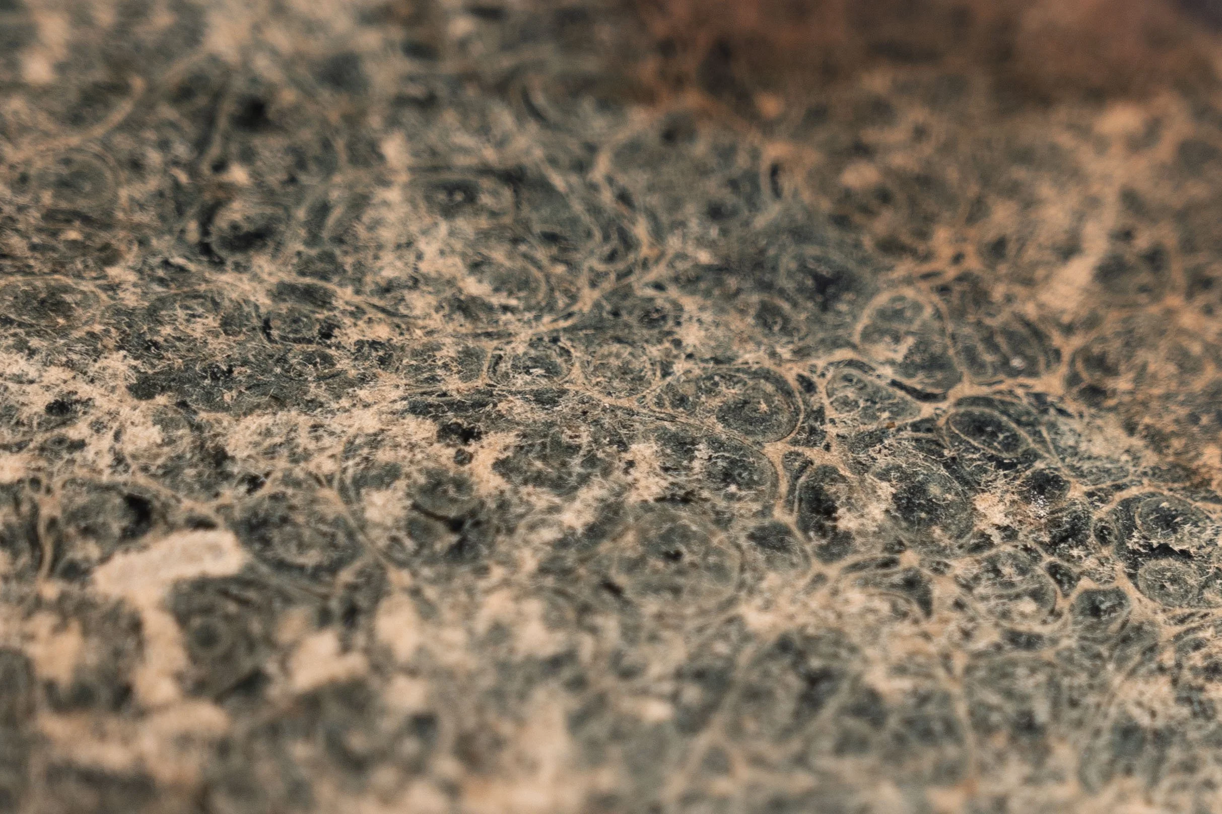 Esoterica covers-55.jpg