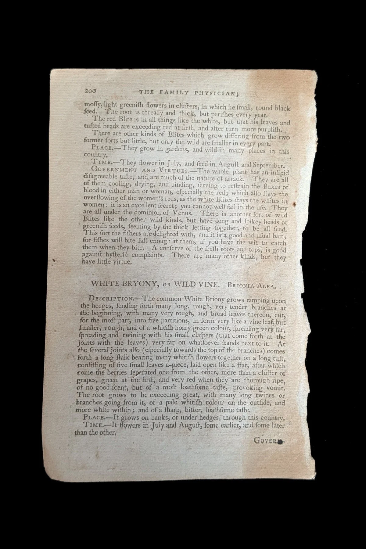 C1792_P07_BryonyStrawberryTree_text_p200.jpg