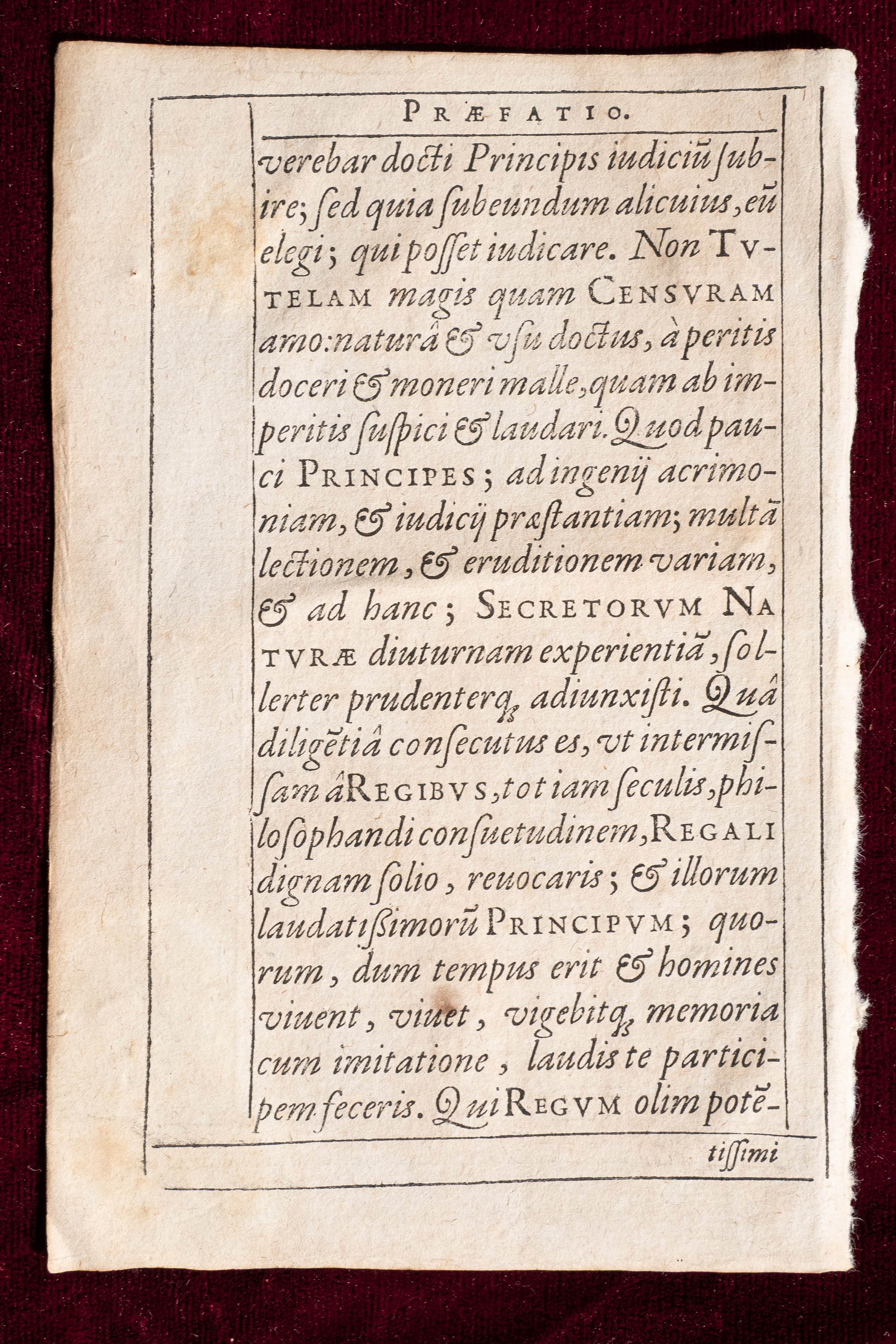 Del Rio Pages (14).jpg