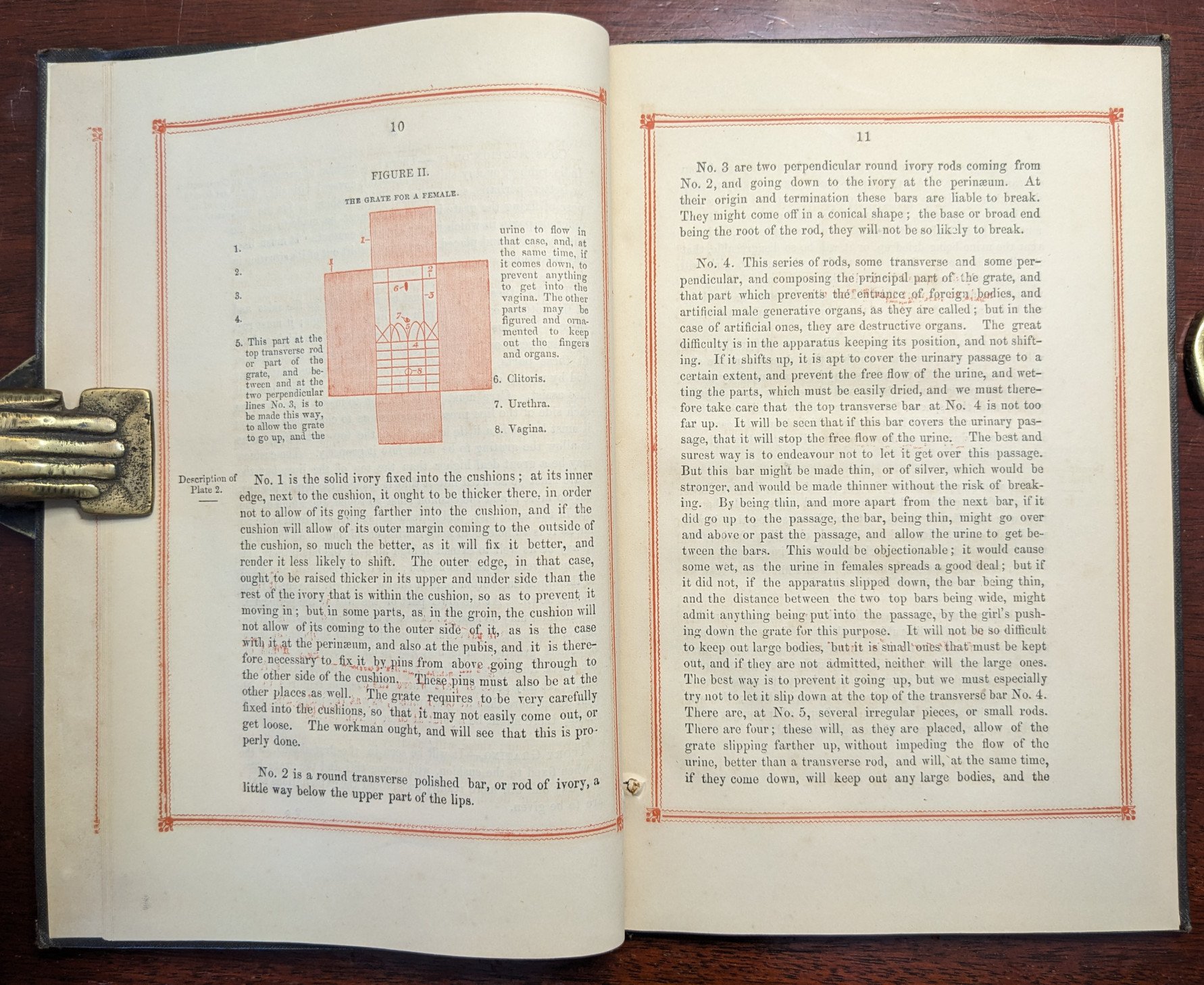 Copy of PXL_20250424_174424330.jpg