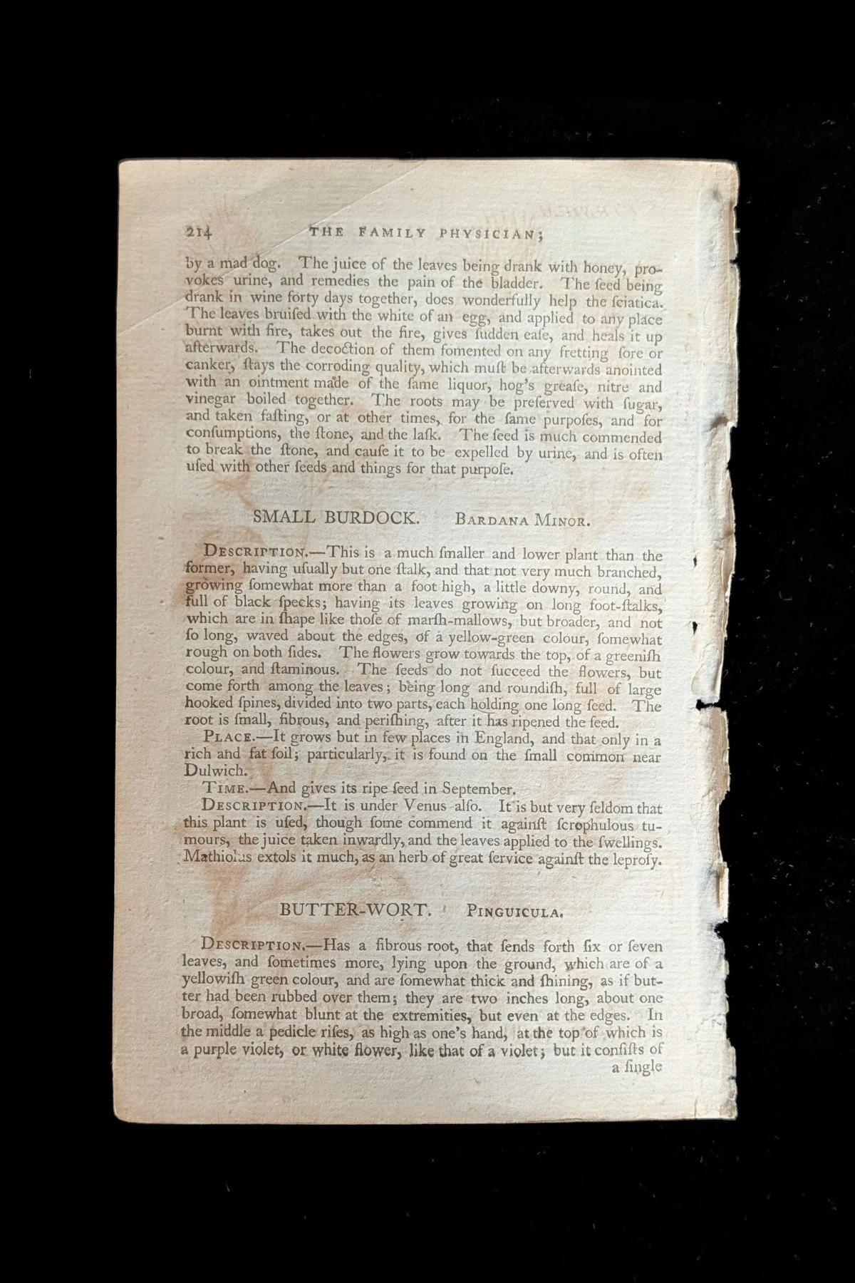 C1792_P14_Burdocks_text_p214.jpg