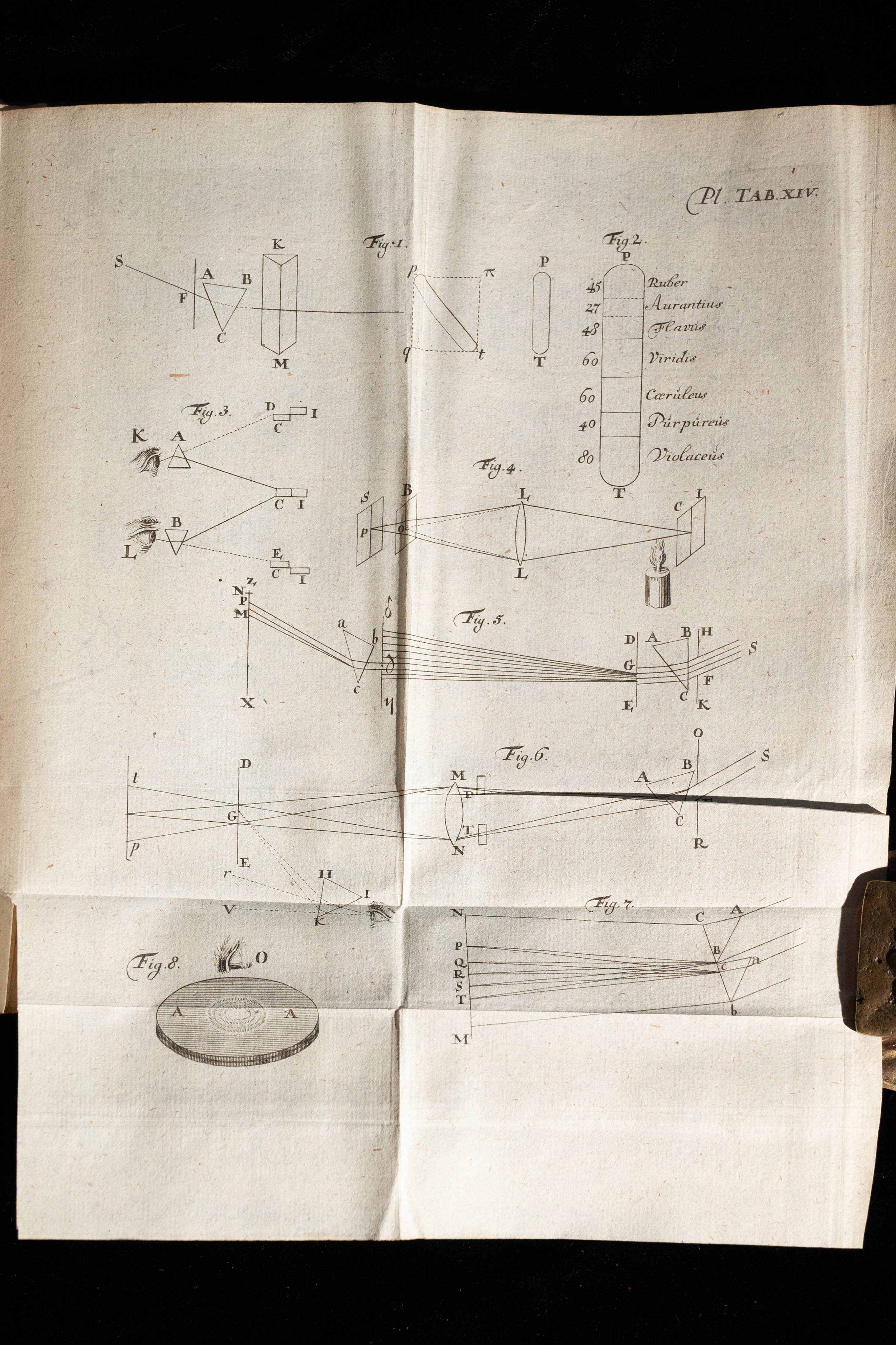 1747 Naturwissenschaft (23).jpg