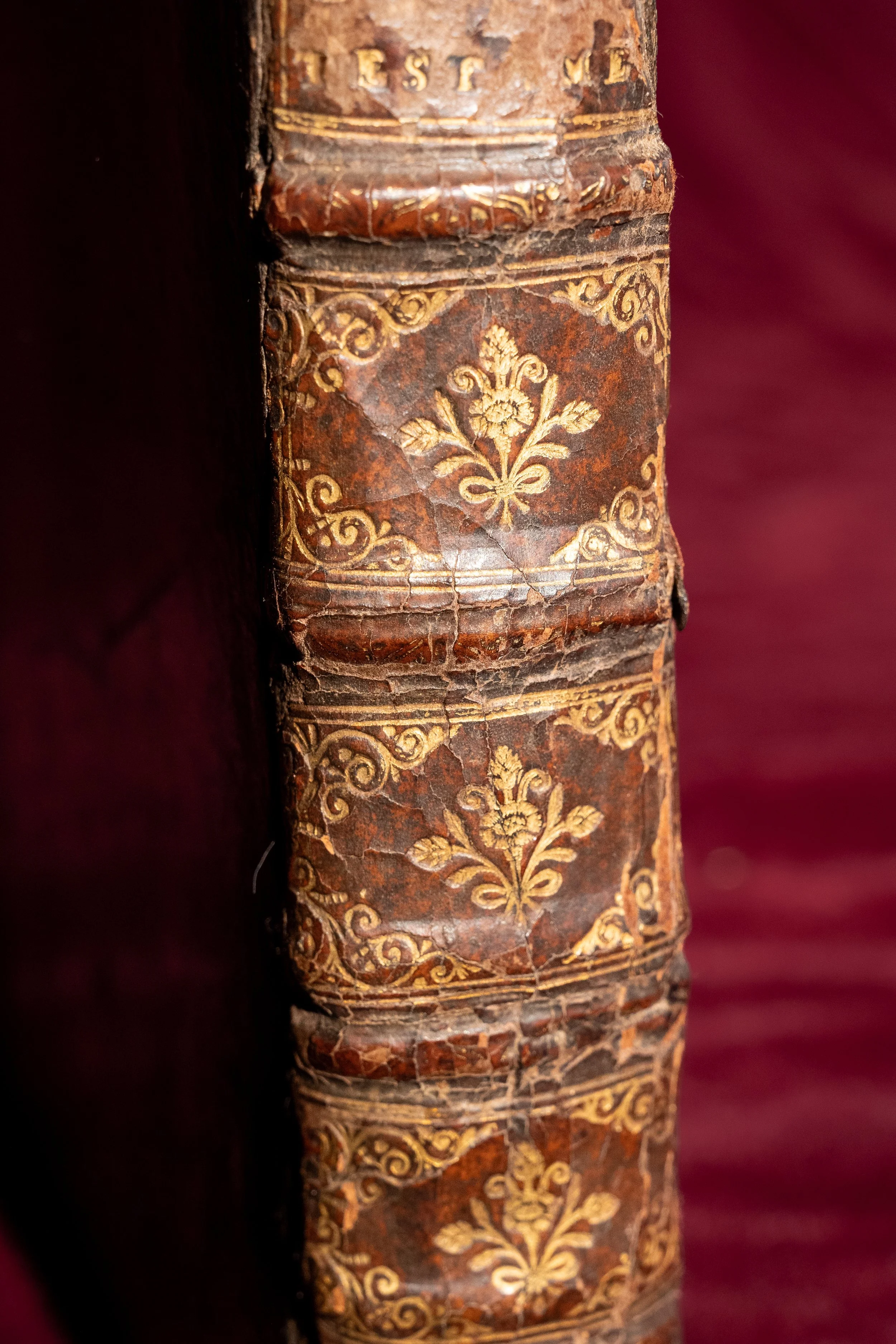 De Diebus Criticis-1652 (2).jpg