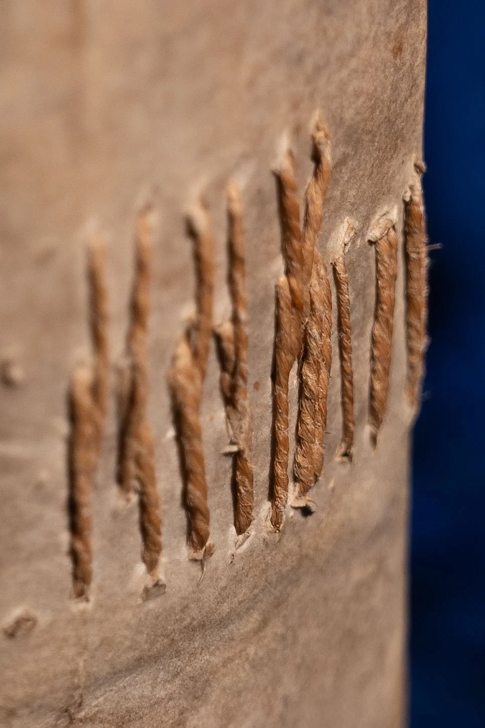 Esoterica covers-69.jpg