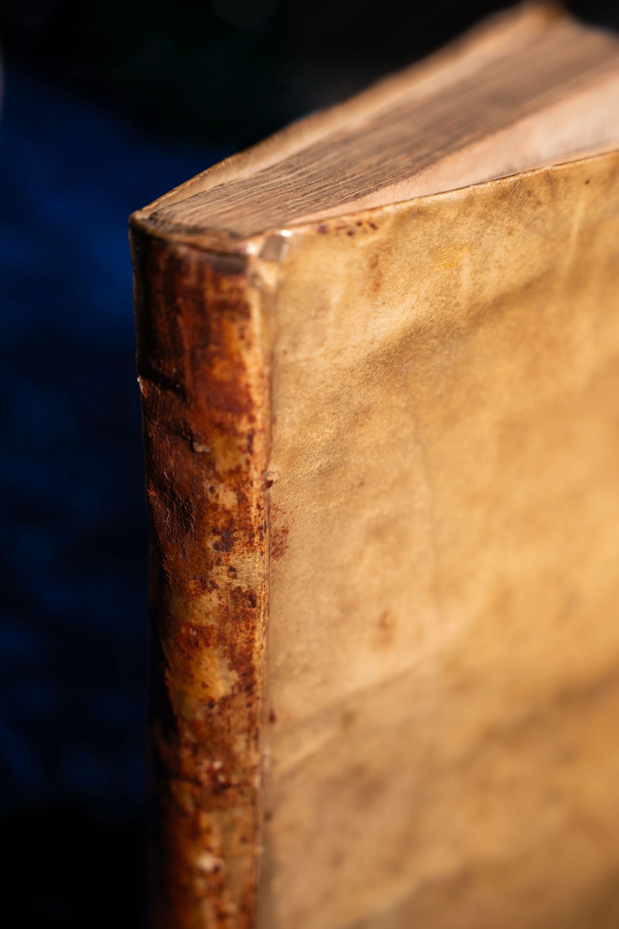 Esoterica covers-8.jpg