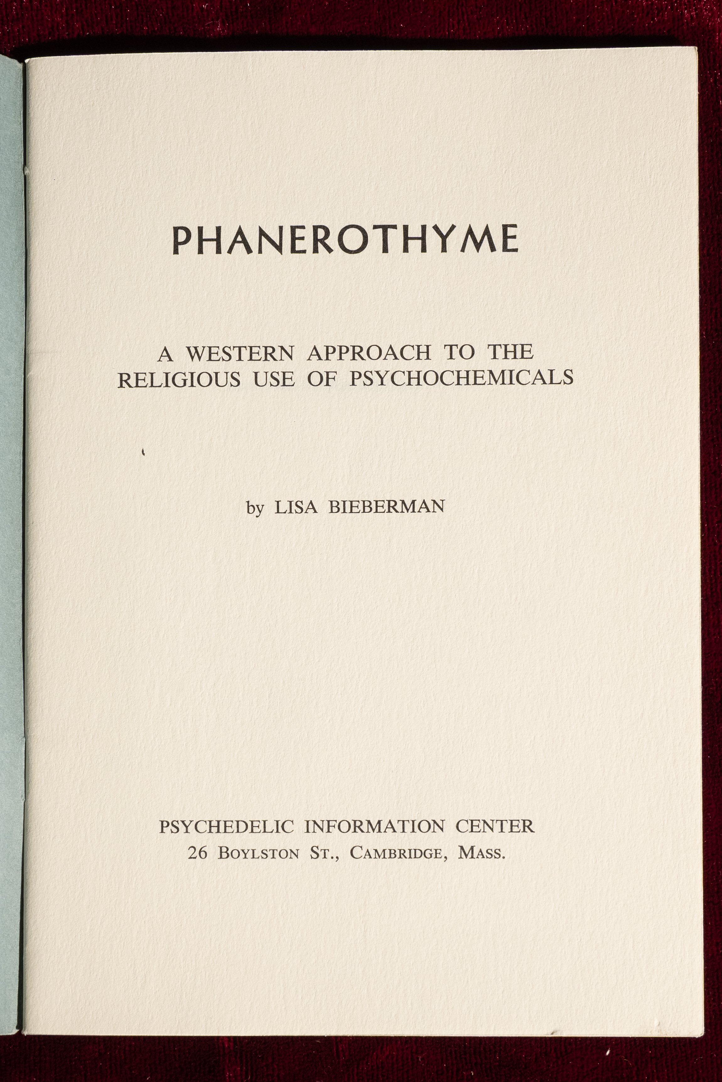 Phanerothyme-Lisa Bieberman (6).jpg