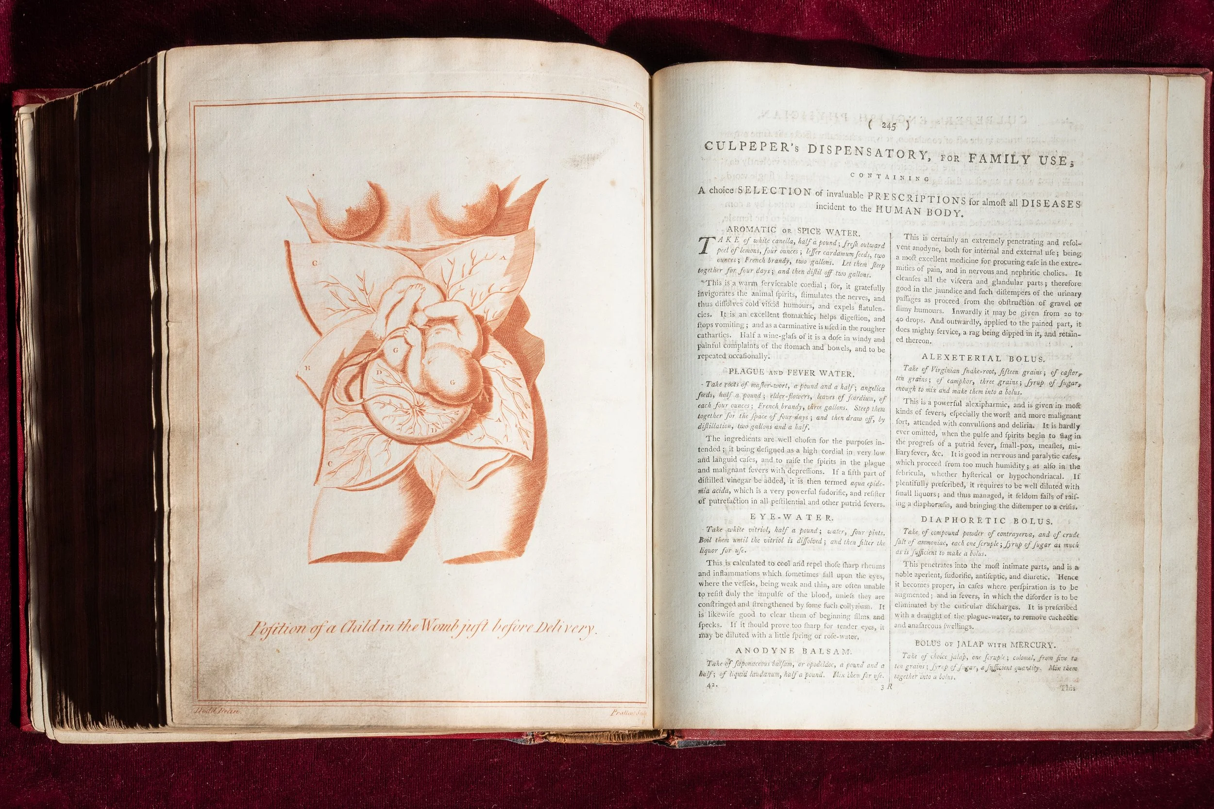 Culpeper-1653 (9).jpg