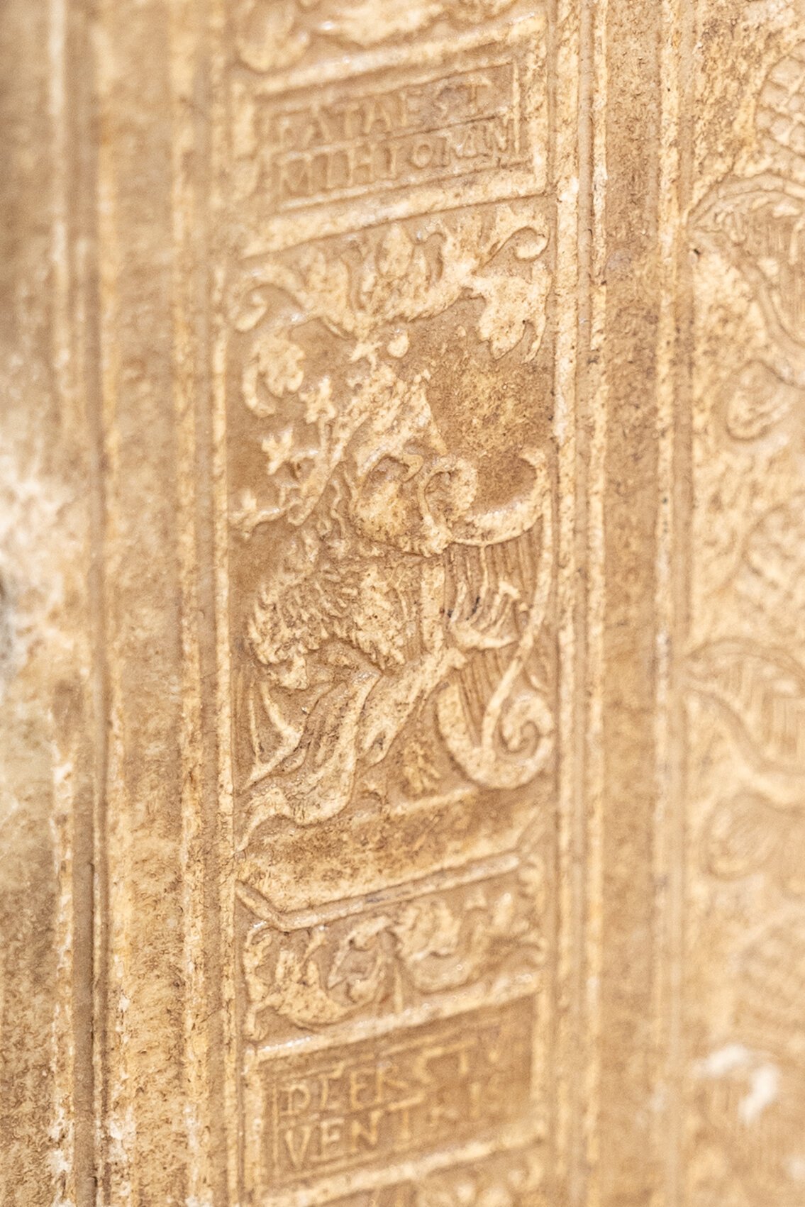 1658 Agrippae with Clasps (3).jpg