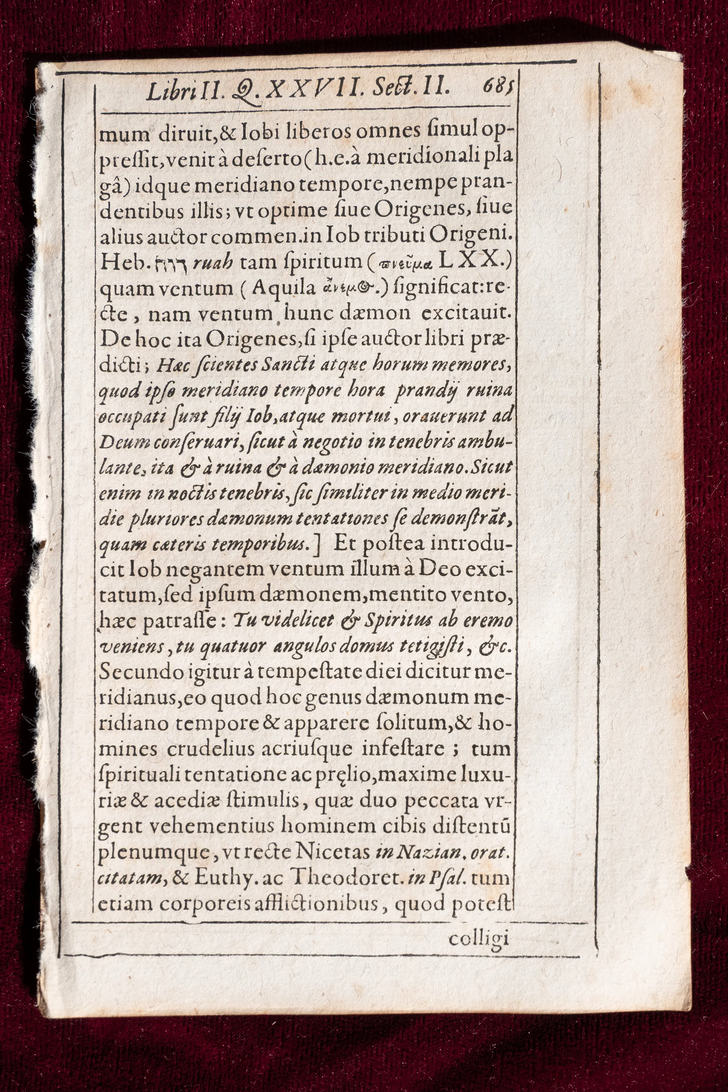 Del Rio Pages (2).jpg