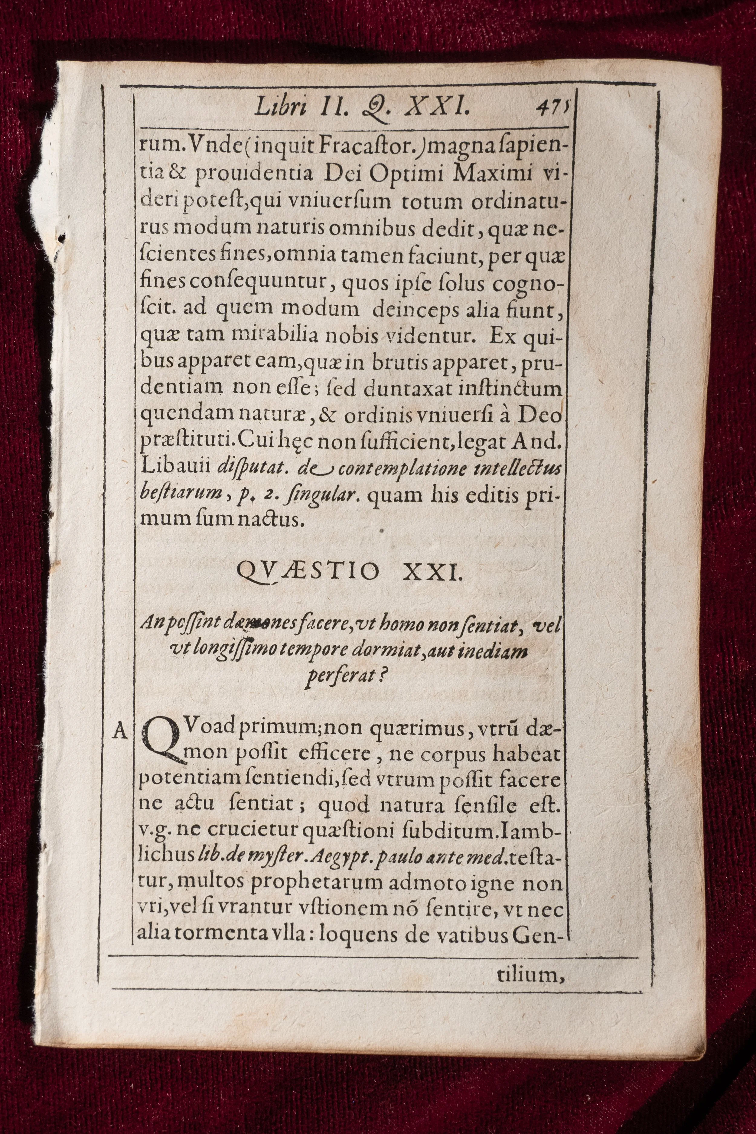 Del Rio Pages (13).jpg