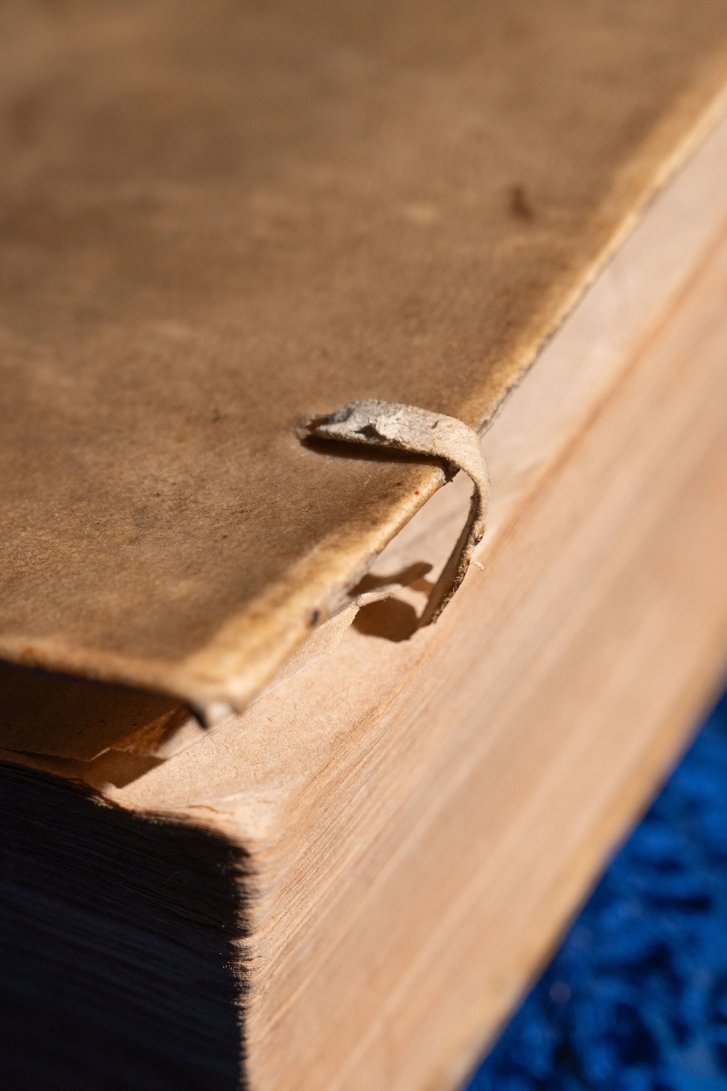 Esoterica covers-126.jpg