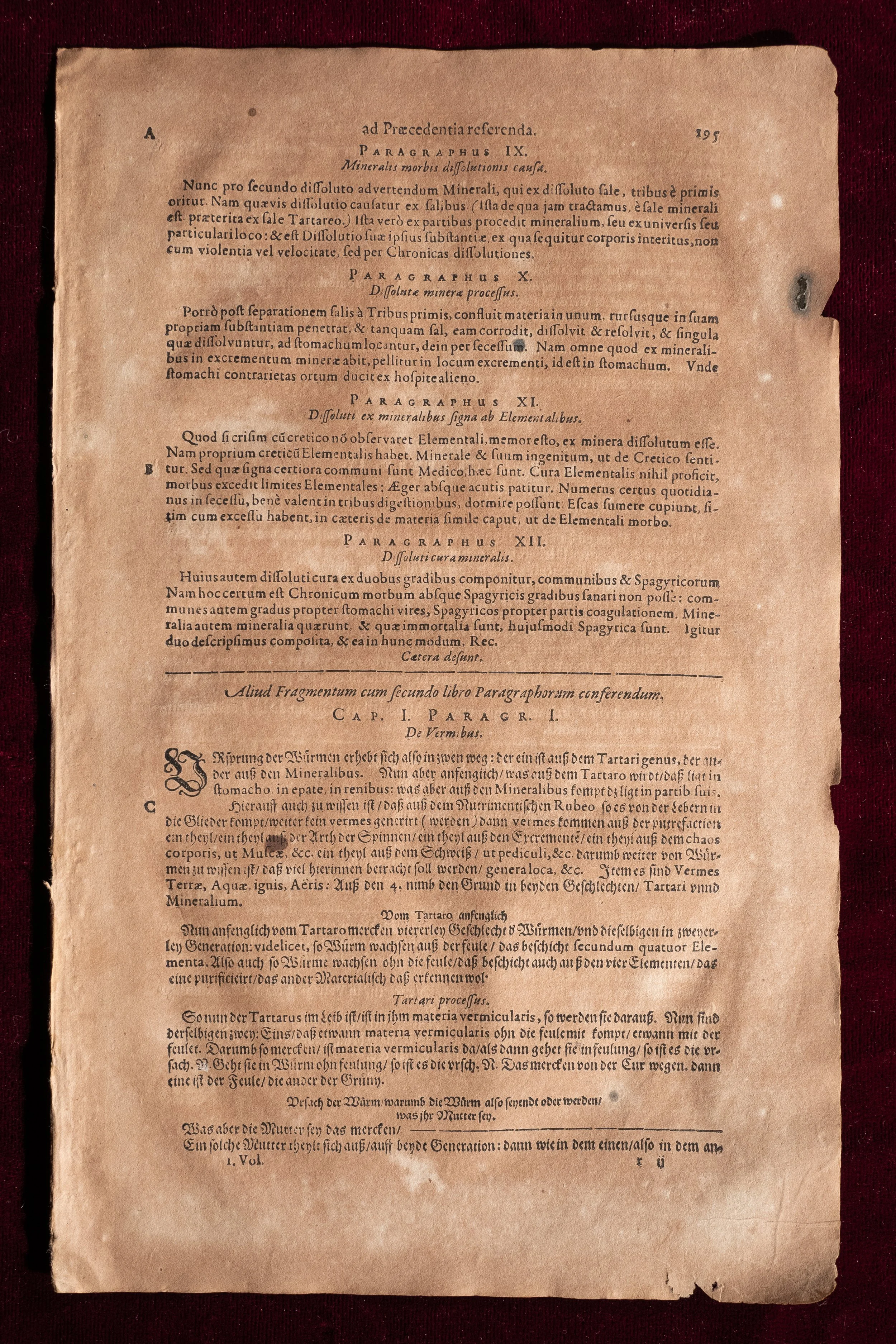 Agrippae Pages $20 (5).jpg