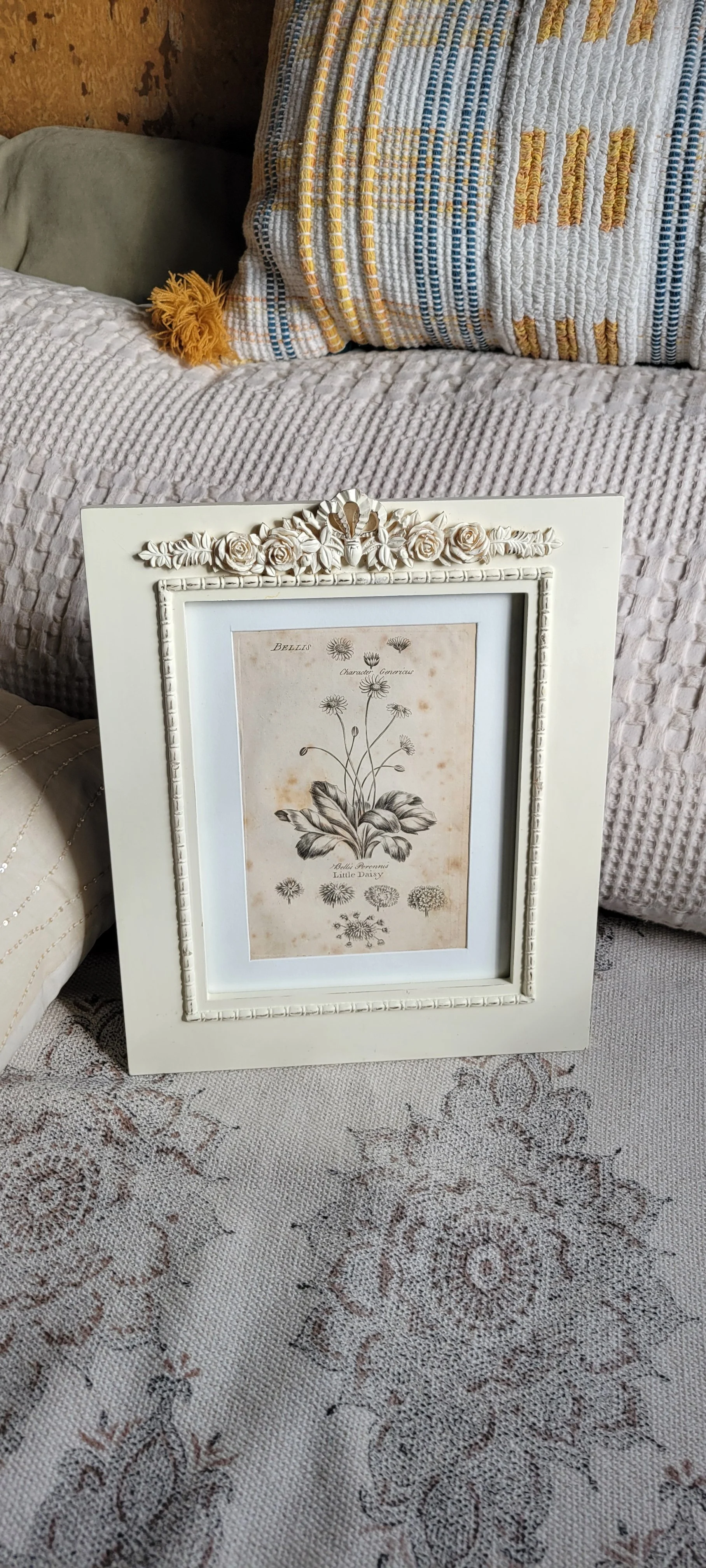 culpeper-1792-framed-little-daisy.jpg