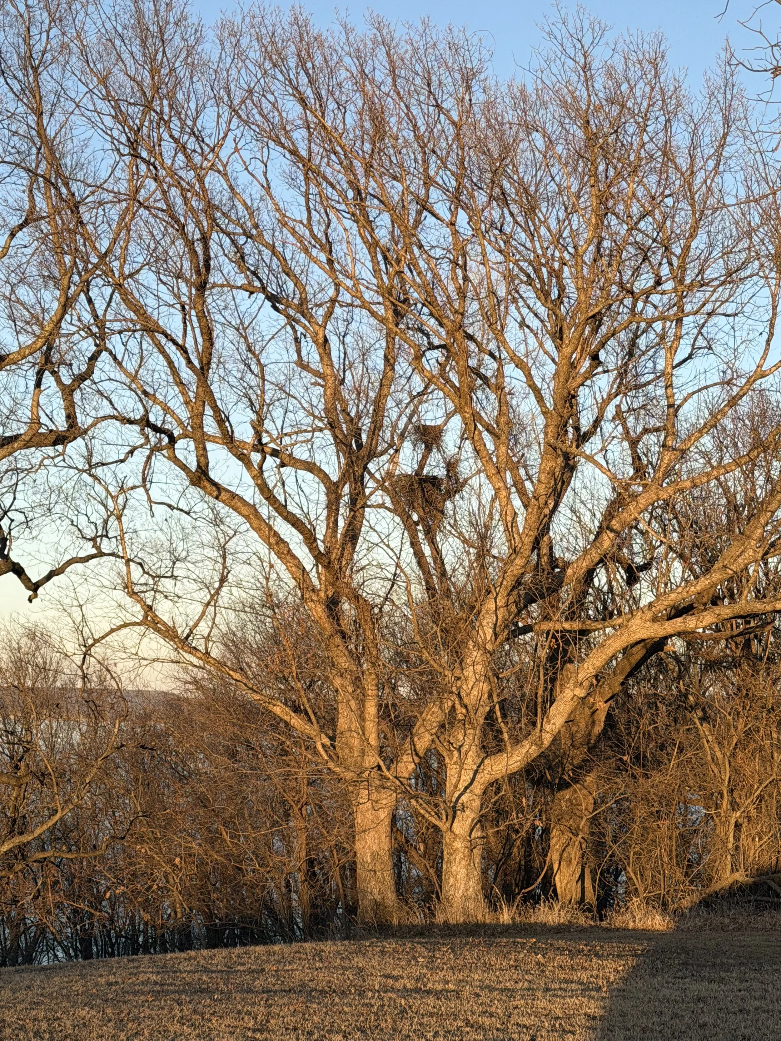 IMG_1322.jpeg