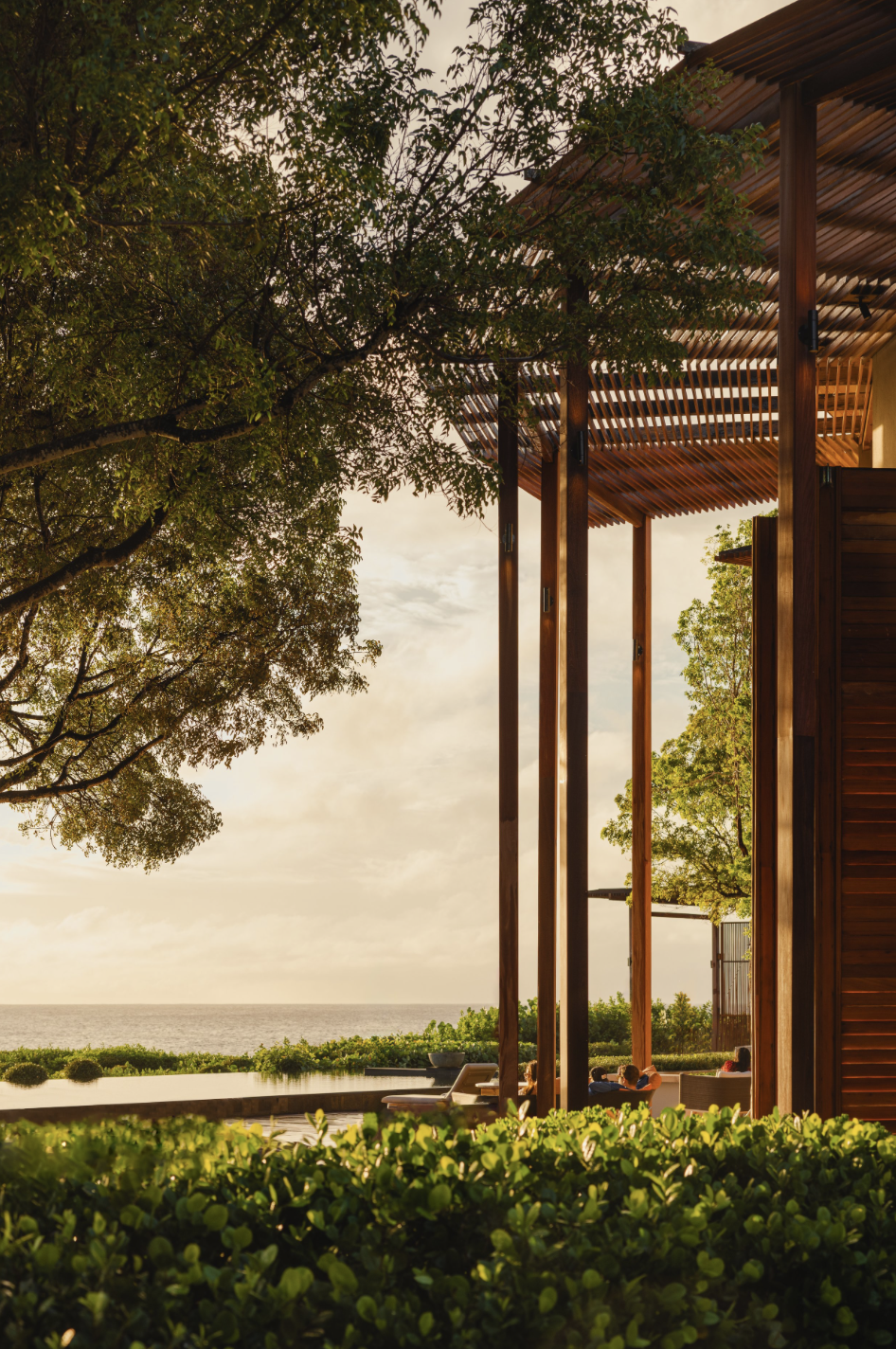 A modern wooden house with large open windows, surrounded by lush green trees and plants, overlooking the ocean during sunset with a partly cloudy sky.