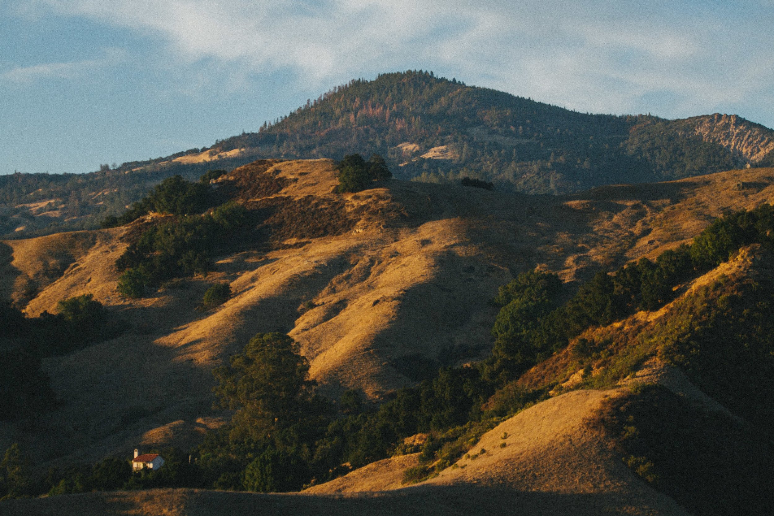 SunsetPortraits-9.jpg