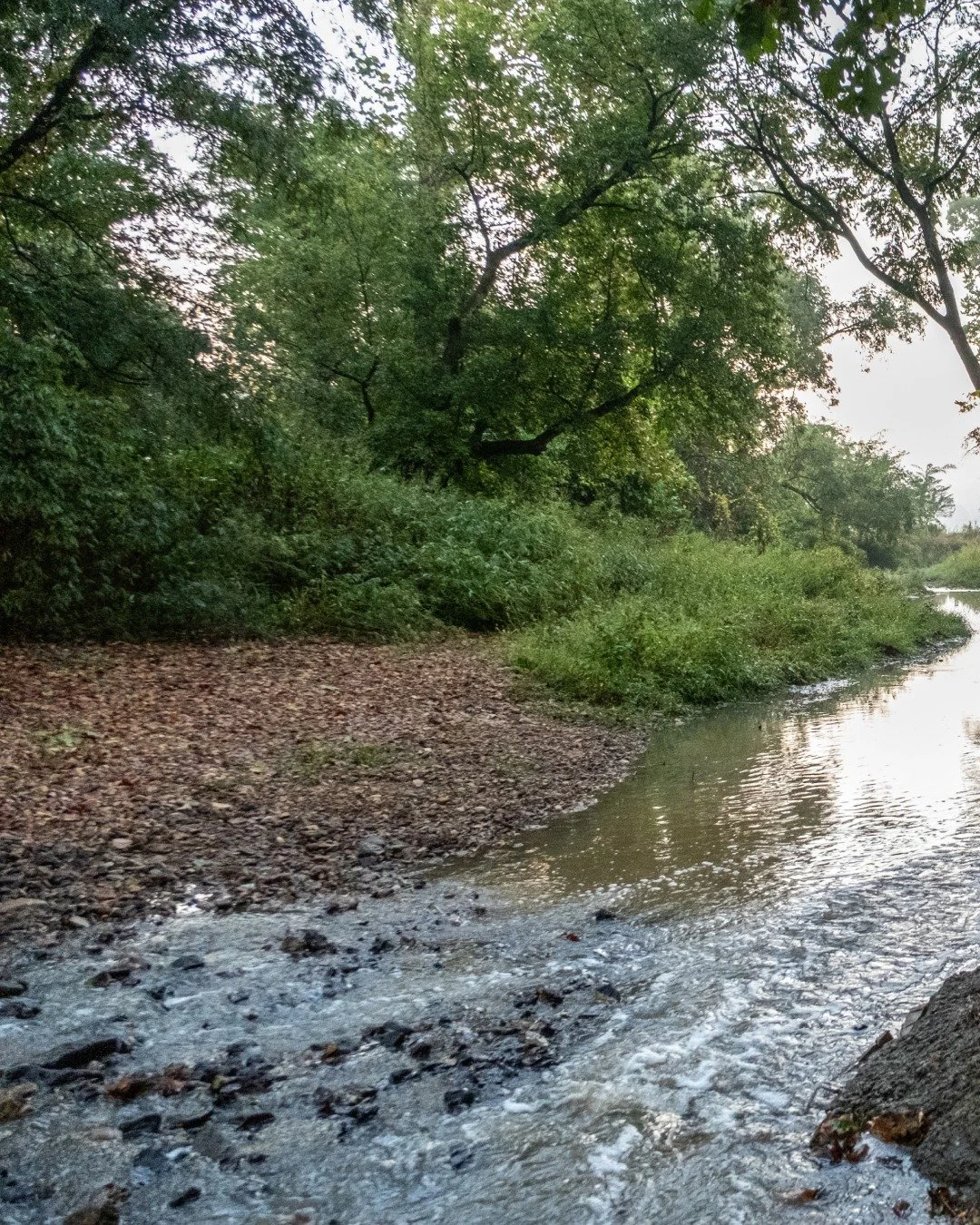38&deg;42'47&quot;N, 92&deg;13'01&quot;W

I spent the first three weeks in central Missouri along the northern ridge of the Ozarks. I lived in the area for three years many moons ago, and spent time reconnecting with old friends and good memories.

M