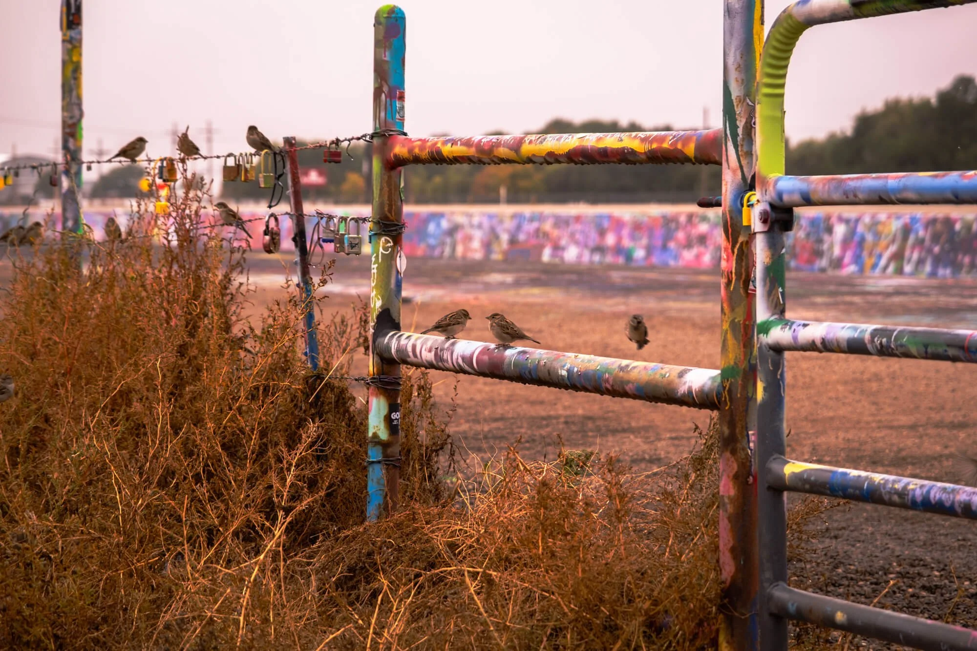 Cadillac-Ranch-9.jpg