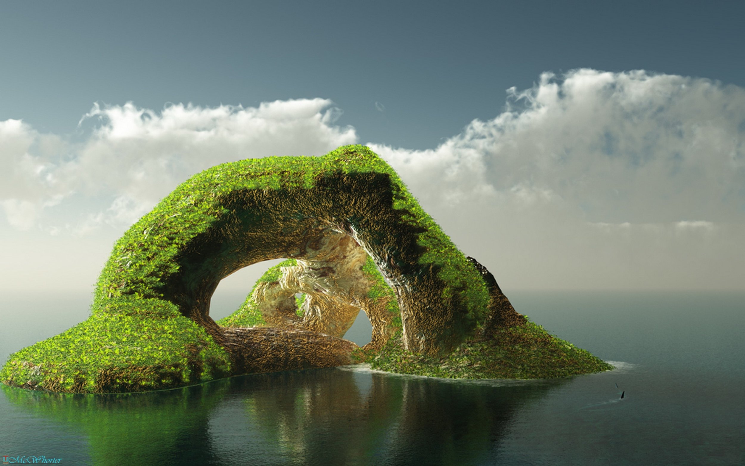 COVE