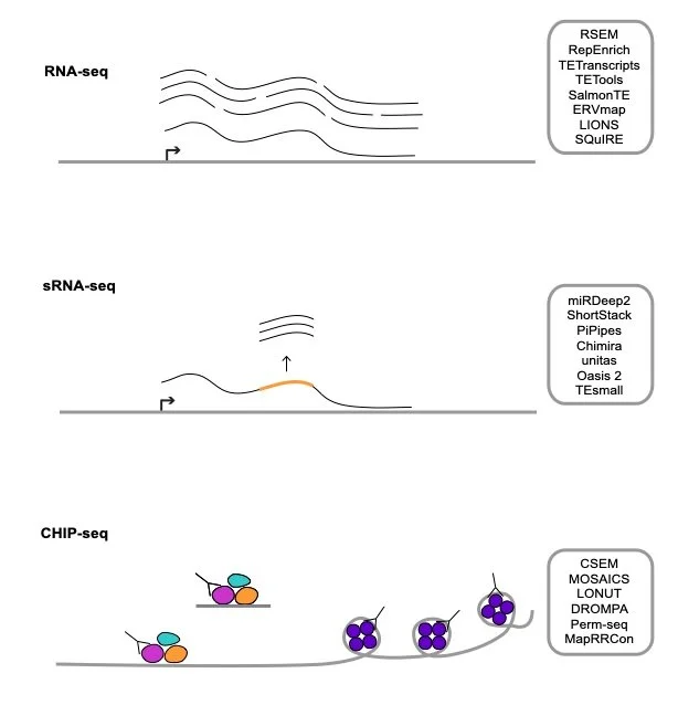Te Software Software — MGH Lab