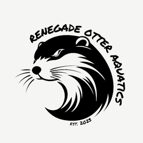 swim technique CLINIC: SESSION B