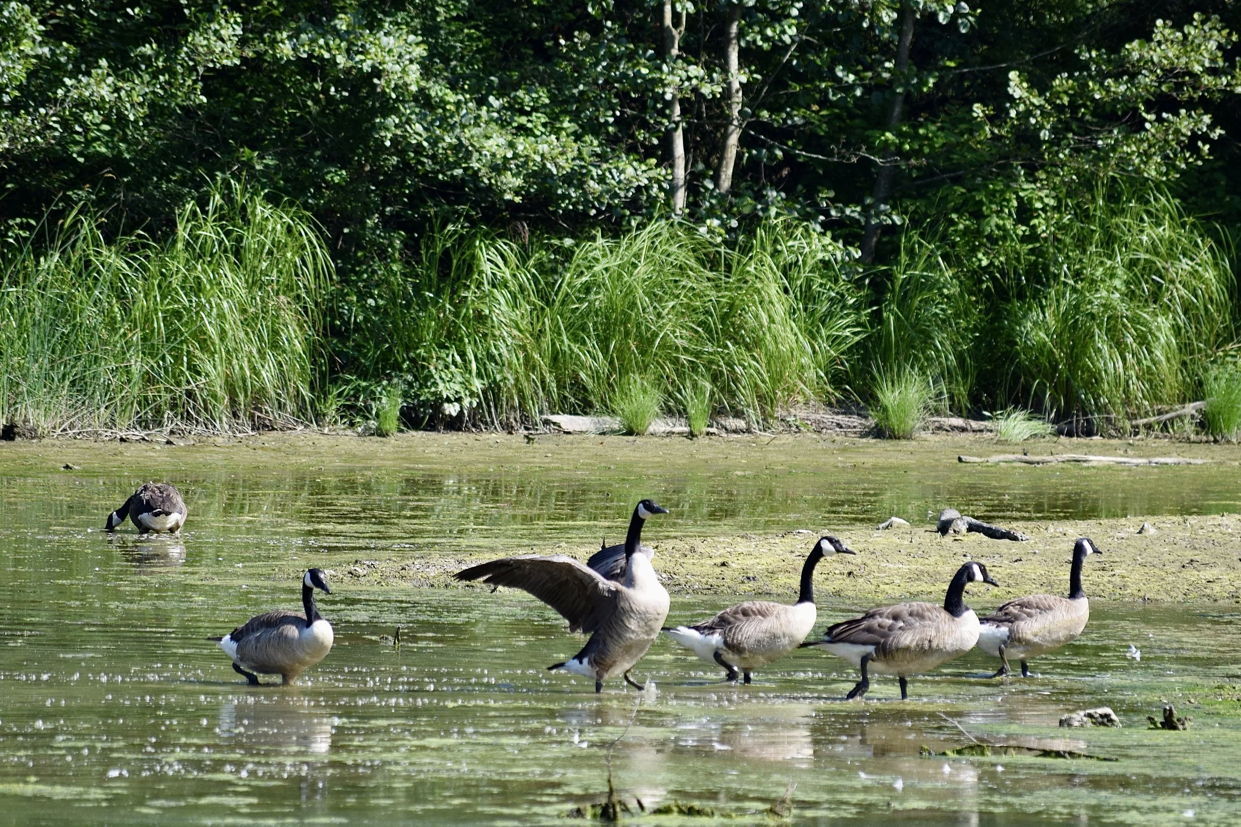 DSC_0003.jpg
